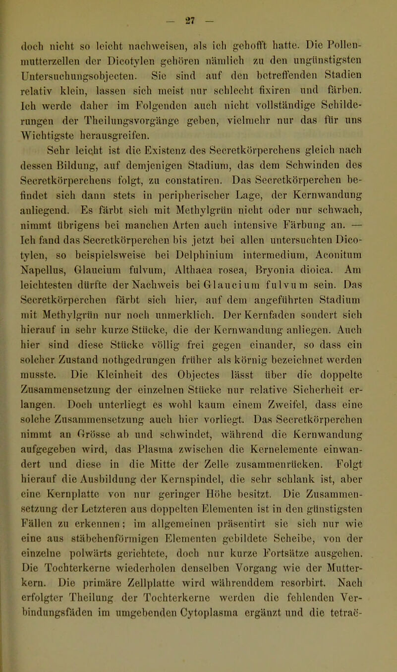 doch nicht so leicht nachweisen, als ich gehofft hatte. Die Pollen- mutterzellen der Dicotylen gehören nämlich zu den ungünstigsten Untersuchungsobjecten. Sie sind auf den betreffenden Stadien relativ klein, lassen sich meist nur schlecht fixiren und färben. Ich werde daher im Folgenden auch nicht vollständige Schilde- rungen der Theilungsvorgänge gehen, vielmehr nur das für uns Wichtigste herausgreifen. Sehr leicht ist die Existenz des Secretkörperchens gleich nach dessen Bildung, auf demjenigen Stadium, das dem Schwinden des Secretkörperchens folgt, zu constatiren. Das Secretkörperchen be- findet sich dann stets in peripherischer Lage, der Kernwandung anliegend. Es färbt sich mit Methylgrün nicht oder nur schwach, nimmt übrigens bei manchen Arten auch intensive Färbung an. — Ich fand das Secretkörperchen bis jetzt bei allen untersuchten Dico- tylen, so beispielsweise bei Delpbinium intermedium, Aconitum Napellus, Glaucium fulvum, Althaea rosea, Bryonia dioica. Am leichtesten dürfte der Nachweis bei Glaucium fulvum sein. Das Secretkörperchen färbt sich hier, auf dem angeführten Stadium mit Methylgrün nur noch unraerklich. Der Kernfaden sondert sich hierauf in sehr kurze Stücke, die der Kernwandung anliegen. Auch hier sind diese Stücke völlig frei gegen einander, so dass ein solcher Zustand nothgedrungen früher als körnig bezeichnet werden musste. Die Kleinheit des Objectes lässt über die doppelte Zusammensetzung der einzelnen Stücke nur relative Sicherheit er- langen. Doch unterliegt es wohl kaum einem Zweifel, dass eine solche Zusammensetzung auch hier vorliegt. Das Secretkörperchen nimmt an Grösse ab und schwindet, während die Kernwandung aufgegeben wird, das Plasma zwischen die Kcrnelcmente einwan- dert und diese in die Mitte der Zelle zusammenrücken. Folgt hierauf die Ausbildung der Kernspindel, die sehr schlank ist, aber eine Kernplatte von nur geringer Höhe besitzt. Die Zusammen- setzung der Letzteren aus doppelten Elementen ist in den günstigsten Fällen zu erkennen; im allgemeinen präsentirt sie sich nur wie eine aus stäbchenförmigen Elementen gebildete Scheibe, von der einzelne polwärts gerichtete, doch nur kurze Fortsätze ausgehen. Die Tochterkerne wiederholen denselben Vorgang wie der Mutter- kern. Die primäre Zellplatte wird währenddem resorbirt. Nach erfolgter Theilung der Tochterkerne werden die fehlenden Ver- bindungsfäden im umgebenden Cytoplasma ergänzt und die tetrac-