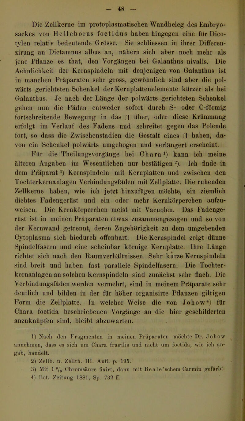 Die Zellkerne im protoplasmatischeu Wandbeleg des Embryo- sackes von Helleborus foetidus haben hingegen eine für Dico- tylen relativ bedeutende Grösse. Sie scbliessen in ihrer Differen- zirung an Dictanmus albus an, nähern sich aber noch mehr als jene Pflanze es that, den Vorgängen bei Galanthus nivalis. Die Aehnlichkeit der Kernspindeln mit denjenigen von Galanthus ist in manchen Präparaten sehr gross, gewöhnlich sind aber die pol- wärts gerichteten Schenkel der Kernplattenelemente kürzer als bei Galanthus. Je nach der Länge der polwärts gerichteten Schenkel gehen nun die Fäden entweder sofort durch S- oder C-förmig fortschreitende Bewegung in das fl über, oder diese Krümmung erfolgt im Verlauf des Fadens und schreitet gegen das Polende fort, so dass die Zwischenstadien die Gestalt eines fl haben, da- von ein Schenkel polwärts umgebogeu und verlängert erscheint. Für die Theilungsvorgänge bei Chara1) kann ich meine älteren Angaben im Wesentlichen nur bestätigen 2 3). Ich finde in dem Präparat:!) Kernspindeln mit Kernplatten und zwischen den Tochterkernanlagen Verbindungsfäden mit Zellplatte. Die ruhenden Zellkerne haben, wie ich jetzt hinzufügen möchte, ein ziemlich dichtes Fadengerüst und ein oder mehr Kernkörperchen aufzu- weisen. Die Kernkörperchen meist mit Vacuolen. Das Fadenge- rüst ist in meinen Präparaten etwas zusammengezogen und so von der Kernwand getrennt, deren Zugehörigkeit zu dem umgebenden Cytoplasma sich hiedurch offenbart. Die Kernspindel zeigt dünne Spindelfasern und eine scheinbar körnige Kernplatte. Ihre Länge richtet sich nach den Raumverhältnissen. Sehr kurze Kernspiudeln sind breit und haben fast parallele Spindelfasern. Die Tochter- kernanlagen an solchen Kernspindeln sind zunächst sehr flach. Die Verbindungsfäden werden vermehrt, sind in meinem Präparate sehr deutlich und bilden in der für höher organisirte Pflanzen gütigen Form die Zellplatte. In welcher Weise die von Johow4) für Chara foet.ida beschriebenen Vorgänge an die hier geschilderten anzuknüpfen sind, bleibt abzuwarten. 1) Nach den Fragmenten in meinen Präparaten möchte Dr. Johow annehmen, dass es sich um Chara fragilis und nicht um foetida, wie ich an- gab, handelt. 2) Zellb. u. Zellth. III. Aufl. p. 195. 3) Mit 1 °l0 Chromsäure fixirt, dann mit Beale’schem Carmin gefärbt. 4) Bot. Zeitung 1881, Sp. 732 ff.