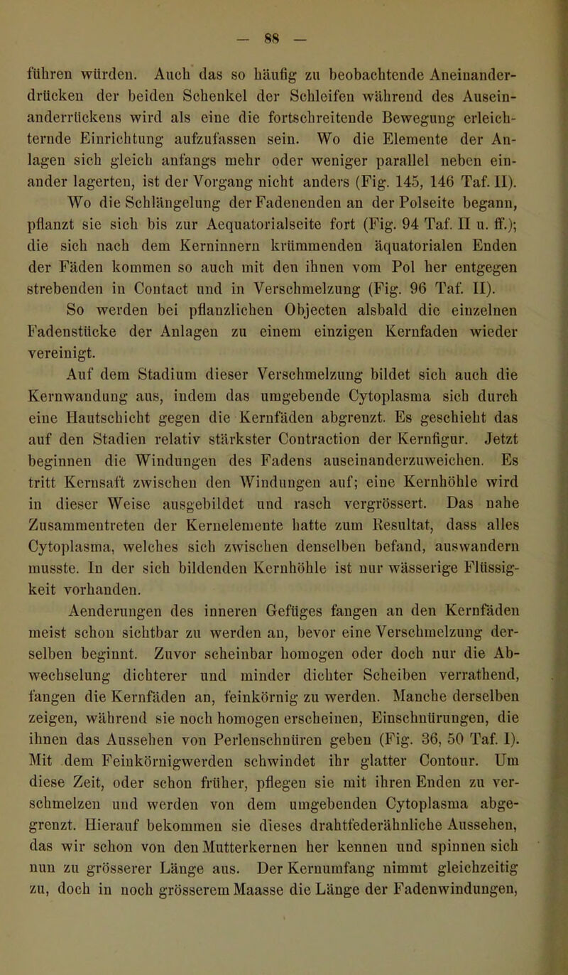 führen würden. Auch das so häufig zu beobachtende Aneinander- drücken der beiden Schenkel der Schleifen während des Ausein- anderrückens wird als eine die fortschreitende Bewegung erleich- ternde Einrichtung aufzufassen sein. Wo die Elemente der An- lagen sich gleich anfangs mehr oder weniger parallel neben ein- ander lagerten, ist der Vorgang nicht anders (Fig. 145, 146 Taf. II). Wo die Schlängelung der Fadenenden an der Polseite begann, pflanzt sie sich bis zur Aequatorialseite fort (Fig. 94 Taf. II u. lf.); die sich nach dem Kerninnern krümmenden äquatorialen Enden der Fäden kommen so auch mit den ihnen vom Pol her entgegen strebenden in Coutact und in Verschmelzung (Fig. 96 Taf. II). So werden bei pflanzlichen Objecten alsbald die einzelnen Fadenstücke der Anlagen zu einem einzigen Kernfaden wieder vereinigt. Auf dem Stadium dieser Verschmelzung bildet sich auch die Kernwandung aus, indem das umgebende Cytoplasma sich durch eine Hautschicht gegen die Kernfäden abgrenzt. Es geschieht das auf den Stadien relativ stärkster Contraction der Kernfigur. Jetzt beginnen die Windungen des Fadens auseinanderzuweichen. Es tritt Kernsaft zwischen den Windungen auf; eine Kernhöhle wird in dieser Weise ausgebildet und rasch vergrössert. Das nahe Zusammentreteu der Kernelemente hatte zum Resultat, dass alles Cytoplasma, welches sich zwischen denselben befand, auswandern musste. In der sich bildenden Kernhöhle ist nur wässerige Flüssig- keit vorhanden. Aenderuugen des inneren Gefüges fangen an den Kernfäden meist schon sichtbar zu werden an, bevor eine Verschmelzung der- selben beginnt. Zuvor scheinbar homogen oder doch nur die Ab- wechselung dichterer und minder dichter Scheiben verrathend, fangen die Kernfäden an, feinkörnig zu werden. Manche derselben zeigen, während sie noch homogen erscheinen, Einschnürungen, die ihnen das Aussehen von Perlenschnüren geben (Fig. 36, 50 Taf. I). Mit dem Feinkörnigwerden schwindet ihr glatter Contour. Um diese Zeit, oder schon früher, pflegen sie mit ihren Enden zu ver- schmelzen und werden von dem umgebenden Cytoplasma abge- grenzt. Hierauf bekommen sie dieses drahtfederähnliche Aussehen, das wir schon von den Mutterkernen her kennen und spinnen sich nun zu grösserer Länge aus. Der Kernumfang nimmt gleichzeitig zu, doch in noch grösserem Maasse die Länge der Fadenwindungen,