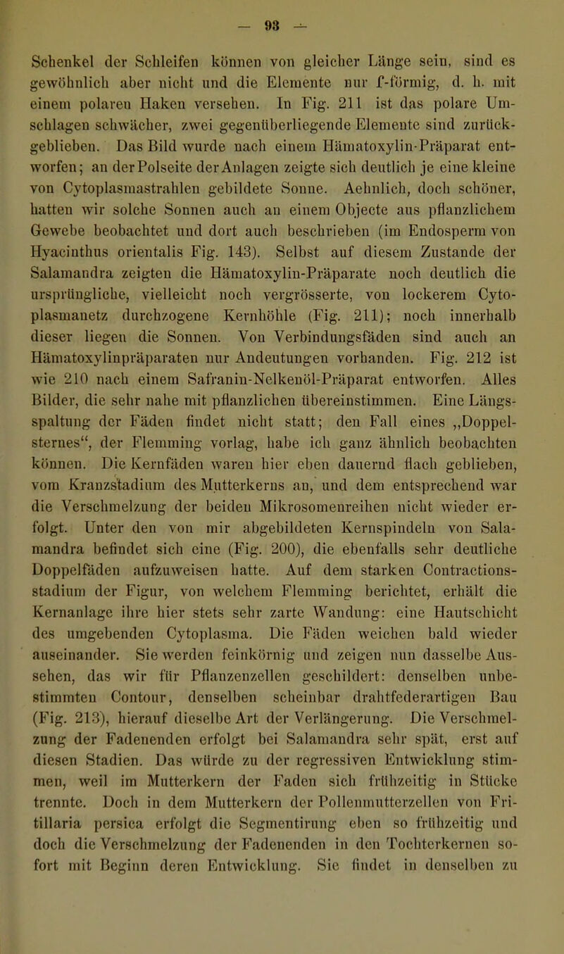 Schenkel der Schleifen können von gleicher Länge sein, sind es gewöhnlich aber nicht und die Elemente nur f-fürmig, d. h. mit einem polaren Haken versehen. In Fig. 211 ist das polare Um- schlagen schwächer, zwei gegenüberliegende Elemente sind zurück- geblieben. Das Bild wurde nach einem Hämatoxylin-Präparat ent- worfen; an der Polseite der Anlagen zeigte sich deutlich je eine kleine von Cytoplasmastrahlen gebildete Sonne. Aehnlich, doch schöner, hatten wir solche Sonnen auch an einem Objecte aus pflanzlichem Gewebe beobachtet und dort auch beschrieben (im Endosperm von Hyacinthus orientalis Fig. 143). Selbst auf diesem Zustande der Salamandra zeigten die Hämatoxylin-Präparate noch deutlich die ursprüngliche, vielleicht noch vergrösserte, von lockerem Cyto- plasmanetz durchzogene Kernhöhle (Fig. 211); noch innerhalb dieser liegen die Sonnen. Von Verbindungsfäden sind auch an Hämatoxylinpräparaten nur Andeutungen vorhanden. Fig. 212 ist wie 210 nach einem Safranin-Nelkenöl-Präparat entworfen. Alles Bilder, die sehr nahe mit pflanzlichen übereinstimmen. Eine Längs- spaltung der Fäden findet nicht statt; den Fall eines „Doppel- sternes“, der Flemming vorlag, habe ich ganz ähnlich beobachten können. Die Kernfäden waren hier eben dauernd flach geblieben, vom Kranzstadium des Mutterkerns an, und dem entsprechend war die Verschmelzung der beiden Mikrosomenreihen nicht wieder er- folgt. Unter den von mir abgebildeten Kernspindeln von Sala- mandra befindet sich eine (Fig. 200), die ebenfalls sehr deutliche Doppelfäden aufzuweisen hatte. Auf dem starken Contractions- stadium der Figur, von welchem Flemming berichtet, erhält die Kernanlage ihre hier stets sehr zarte Wandung: eine Hautschicht des umgebenden Cytoplasma. Die Fäden weichen bald wieder auseinander. Sie werden feinkörnig und zeigen nun dasselbe Aus- sehen, das wir für Pflanzenzellen geschildert: denselben unbe- stimmten Contour, denselben scheinbar drahtfederartigen Bau (Fig. 213), hierauf dieselbe Art der Verlängerung. Die Verschmel- zung der Fadenenden erfolgt bei Salamandra sehr spät, erst auf diesen Stadien. Das würde zu der regressiven Entwicklung stim- men, weil im Mutterkern der Faden sich frühzeitig in Stücke trennte. Doch in dem Mutterkern der Pollenmutterzellen von Fri- tillaria persica erfolgt die Segmentirung eben so frühzeitig und doch die Verschmelzung der Fadenenden in den Tochterkernen so- fort mit Beginn deren Entwicklung. Sie findet in denselben zu