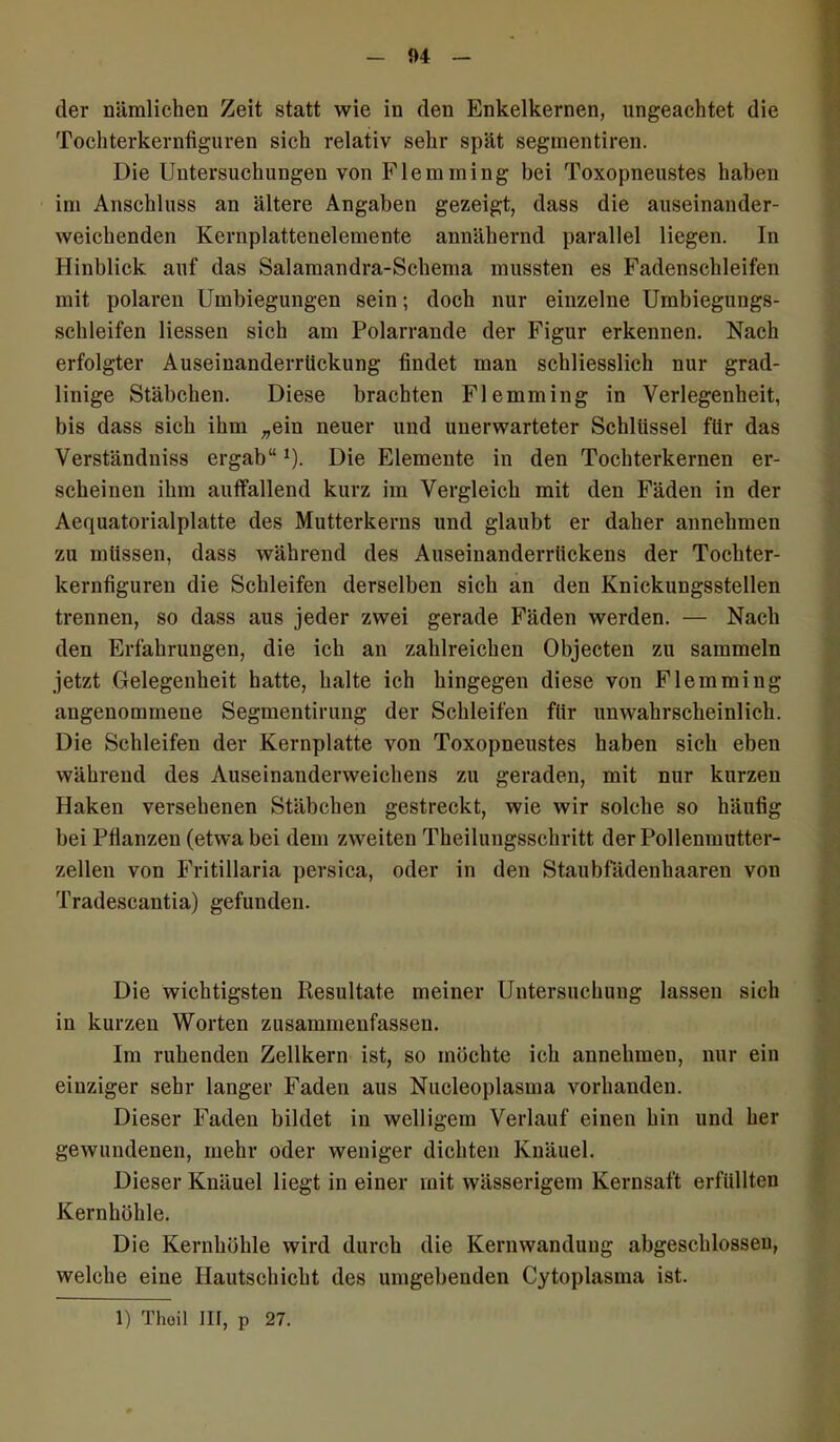 der nämlichen Zeit statt wie in den Enkelkernen, ungeachtet die Tochterkernfiguren sich relativ sehr spät segmentiren. Die Untersuchungen von Flemming bei Toxopneustes haben im Anschluss an ältere Angaben gezeigt, dass die auseinander- weichenden Kernplattenelemente annähernd parallel liegen. In Hinblick auf das Salamandra-Schema mussten es Fadenschleifen mit polaren Umbiegungen sein; doch nur einzelne Umbiegungs- schleifen Hessen sich am Polarrande der Figur erkennen. Nach erfolgter Auseinanderrlickung findet man schliesslich nur grad- linige Stäbchen. Diese brachten Flemming in Verlegenheit, bis dass sich ihm „ein neuer und unerwarteter Schlüssel für das Verständniss ergab“*). Die Elemente in den Tochterkernen er- scheinen ihm auffallend kurz im Vergleich mit den Fäden in der Aequatorialplatte des Mutterkerns und glaubt er daher annehmen zu müssen, dass während des Auseinanderrückens der Tochter- kernfiguren die Schleifen derselben sich an den Knickungsstellen trennen, so dass aus jeder zwei gerade Fäden werden. — Nach den Erfahrungen, die ich an zahlreichen Objecten zu sammeln jetzt Gelegenheit hatte, halte ich hingegen diese von Flemming angenommene Segmentirung der Schleifen für unwahrscheinlich. Die Schleifen der Kernplatte von Toxopneustes haben sich eben während des Auseinanderweichens zu geraden, mit nur kurzen Haken versehenen Stäbchen gestreckt, wie wir solche so häufig bei Pflanzen (etwa bei dem zweiten Theilungsschritt der Pollenmutter- zellen von Fritillaria persica, oder in den Staubfädenhaaren von Tradescantia) gefunden. Die wichtigsten Resultate meiner Untersuchung lassen sich in kurzen Worten zusammenfassen. Im ruhenden Zellkern ist, so möchte ich annehmen, nur ein einziger sehr langer Faden aus Nucleoplasma vorhanden. Dieser Faden bildet in welligem Verlauf einen hin und her gewundenen, mehr oder weniger dichten Knäuel. Dieser Knäuel liegt in einer mit wässerigem Kernsaft erfüllten Kernhöhle. Die Kernhöhle wird durch die Kernwandung abgeschlossen, welche eine Hautschicht des umgebenden Cytoplasma ist.
