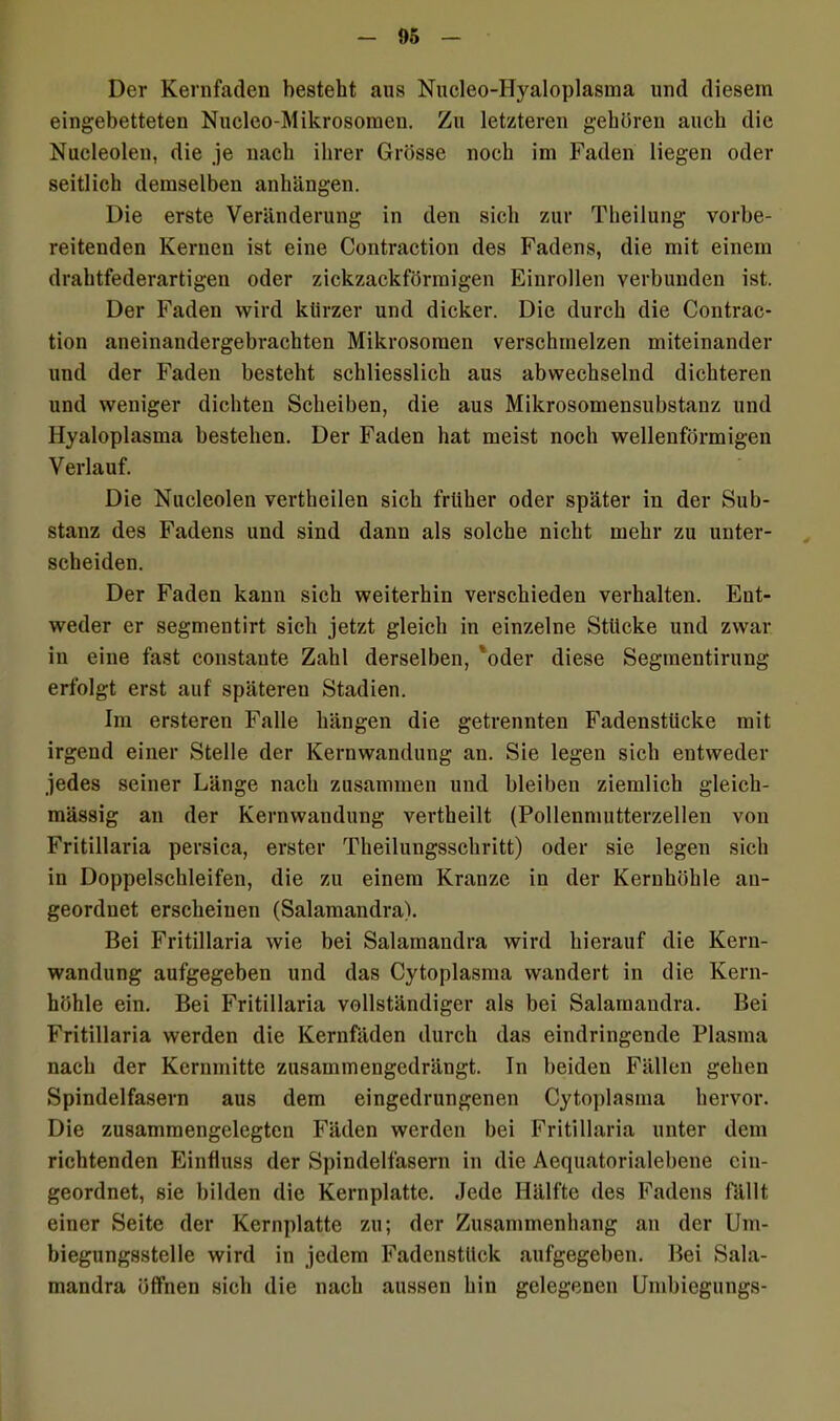Der Kernfaden besteht aus Nucleo-Hyaloplasma und diesem eingebetteten Nucleo-Mikrosoraen. Zu letzteren gehören auch die Nucleolen, die je nach ihrer Grösse noch im Faden liegen oder seitlich demselben anhängen. Die erste Veränderung in den sich zur Theilung vorbe- reitenden Kernen ist eine Contraction des Fadens, die mit einem drahtfederartigen oder zickzackförmigen Einrollen verbunden ist. Der Faden wird kürzer und dicker. Die durch die Contrac- tion aneinandergebrachten Mikrosoraen verschmelzen miteinander und der Faden besteht schliesslich aus abwechselnd dichteren und weniger dichten Scheiben, die aus Mikrosomensubstauz und Hyaloplasma bestehen. Der Faden hat meist noch wellenförmigen Verlauf. Die Nucleolen vertheilen sich früher oder später in der Sub- stanz des Fadens und sind dann als solche nicht mehr zu unter- scheiden. Der Faden kann sich weiterhin verschieden verhalten. Ent- weder er segmentirt sich jetzt gleich in einzelne Stücke und zwar in eine fast constante Zahl derselben, 'oder diese Segmentirung erfolgt erst auf späteren Stadien. Im ersteren Falle hängen die getrennten Fadenstücke mit irgend einer Stelle der Kernwandung an. Sie legen sich entweder jedes seiner Länge nach zusammen und bleiben ziemlich gleich- mässig an der Kernwandung vertheilt (Pollenmutterzellen von Fritillaria persica, erster Theilungsschritt) oder sie legen sich in Doppelschleifen, die zu einem Kranze in der Kernhöhle au- geordnet erscheinen (Salamandra). Bei Fritillaria wie bei Salamandra wird hierauf die Kern- wandung aufgegeben und das Cytoplasma wandert in die Kern- höhle ein. Bei Fritillaria vollständiger als bei Salamandra. Bei Fritillaria werden die Kernfäden durch das eindringende Plasma nach der Kernmitte zusammengedrängt. In beiden Fällen gehen Spindelfasern aus dem eingedrungenen Cytoplasma hervor. Die zusamraengelegten Fäden werden bei Fritillaria unter dem richtenden Einfluss der Spindelfasern in die Aequatorialebene cin- geordnet, sie bilden die Kernplatte. Jede Hälfte des Fadens fällt einer Seite der Kernplatte zu; der Zusammenhang an der Um- biegungsstelle wird in jedem Fadenstück aufgegeben. Bei Sala- mandra öffnen sich die nach aussen hin gelegenen Umbiegungs-