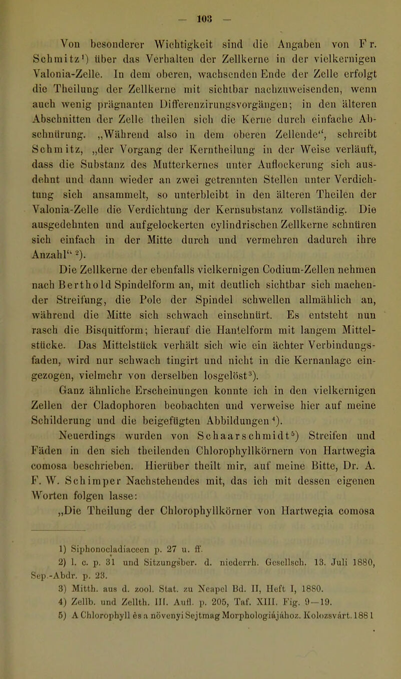 Von besonderer Wichtigkeit sind die Angaben von F r. Schmitz') über das Verhalten der Zellkerne in der vielkernigen Valonia-Zelle. ln dem oberen, wachsenden Ende der Zelle erfolgt die Theilung der Zellkerne mit sichtbar nachzuweisenden, wenn auch wenig prägnanten üifferenzinmgsvorgängen; in den älteren Abschnitten der Zelle theilen sich die Kerne durch einfache Ab- schnürung. „Während also in dem oberen Zellende“*, schreibt Schmitz, „der Vorgang der Kerntheilung in der Weise verläuft, dass die Substanz des Mutterkernes unter Auflockerung sich aus- dehnt und dann wieder an zwei getrennten Stellen unter Verdich- tung sich ansammelt, so unterbleibt in den älteren Theilen der Valonia-Zelle die Verdichtung der Kernsubstanz vollständig. Die ausgedehnten und auf gelockerten cylindrischen Zellkerne schnüren sich einfach in der Mitte durch und vermehren dadurch ihre Anzahl“ 1 2). Die Zellkerne der ebenfalls vielkernigen Codium-Zellen nehmen nach Bertho ld Spindelform an, mit deutlich sichtbar sich machen- der Streifung, die Pole der Spindel schwellen allmählich an, während die Mitte sich schwach einschnürt. Es entsteht nun rasch die Bisquitform; hierauf die Hanlelform mit langem Mittel- stücke. Das Mittelstück verhält sich wie ein ächter Verbindungs- faden, wird nur schwach tingirt und nicht in die Kernanlage ein- gezogen, vielmehr von derselben losgelöst3 4). Ganz ähnliche Erscheinungen konnte ich in den vielkernigen Zellen der Cladophoren beobachten und verweise hier auf meine Schilderung und die beigefügten Abbildungen'). Neuerdings wurden von Schaarschmidt5) Streifen und Fäden in den sich theilenden Chlorophyllkörnern von Hartwegia comosa beschrieben. Hierüber theilt mir, auf meine Bitte, Dr. A. F. W. Sehimper Nachstehendes mit, das ich mit dessen eigenen Worten folgen lasse: „Die Theilung der Chlorophyllkörner von Hartwegia comosa 1) Siphonocladiaceen p. 27 u. ff. 2) 1. c. p. 31 und Sitzungsber. d. niederrh. Gesellsch. 13. Juli 1880, Sep.-Abdr. p. 23. 3) Mitth. aus d. zool. Stat. zu Neapel Bd. II, Heft I, 18S0. 4) Zellb. und Zelltk. III. Aufl. p. 205, Taf. XIII. Fig. 9-19. 5) A Chlorophyll es a növenyiSejtmagMorphologiäjähoz. Ivolozsvärt. 188 1