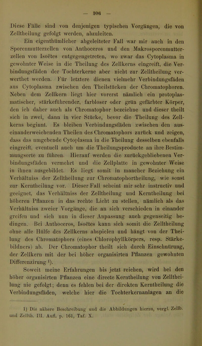 Diese Fälle sind von denjenigen typischen Vorgängen, die von Zelltheilung gefolgt werden, abzuleiten. Ein eigentümlicher abgeleiteter Fall war mir auch in den Sporenmutterzellen von Anthoceros und den Makrosporenmutter- zellen von Isoetes entgegengetreten, wo zwar das Cytoplasma in gewohnterWeise in die Theilung des Zellkerns eingreift, die Ver- bindungsfaden der Tochterkerne aber nicht zur Zelltheilung ver- wertet werden. Für letztere dienen vielmehr Verbindungsfäden aus Cytoplasma zwischen den Theilstücken der Chromatophoren. Neben dem Zellkern liegt hier vorerst nämlich ein protoplas- matischer, stärkeführender, farbloser oder grün gefärbter Körper, den ich daher auch als Chromatophor bezeichne und dieser teilt sich in zwei, dann in vier Stücke, bevor die Theilung des Zell- kerns beginnt. Es bleiben Verbindungsfäden zwischen den aus- einanderweichenden Theilen des Chromatophors zurück und zeigen, dass das umgebende Cytoplasma in die Theilung desselben ebenfalls eingreift, eventuell auch um die Theilungsproducte an ihre Bestim- mungsorte zu führen. Hierauf werden die zurückgebliebenen Ver- bindungsfaden vermehrt und die Zellplatte in gewohnter Weise in ihnen ausgebildet. Es liegt somit in mancher Beziehung ein Verhältnis der Zelltheilung zur Chromatophortheilung, wie sonst zur Kernteilung vor. Dieser Fall scheint mir sehr iustructiv und geeignet, das Verhältnis der Zelltheilung und Kernteilung bei höheren Plianzen in das rechte Licht zu stellen, nämlich als das Verhältniss zweier Vorgänge, die an sich verschieden in einander greifen und sich nun in dieser Anpassung auch gegenseitig be- dingen. Bei Anthoceros, Isoetes kann sich somit die Zelltheilung ohne alle Hülfe des Zellkerns abspielen und hängt von der Thei- lung des Chromatophors (eines Chlorophyllkörpers, resp. Stärke- bildners) ab. Der Chromatophor theilt sich durch Einschnürung, der Zellkern mit der bei höher organisirten Pflanzen gewohnten Differenzirung 1). Soweit meine Erfahrungen bis jetzt reichen, wird bei den höher organisirten Pflanzen eine directe Kernteilung von Zellthei- lung nie gefolgt; denn es fehlen bei der direkten Kernteilung die Verbiudungsfaden, welche hier die Tochterkernanlagen an die 1) Die nähere Beschreibung und die Abbildungen hierzu, vergl. Zellb. und Zellth. III. AuH. p. 161, Taf. X.