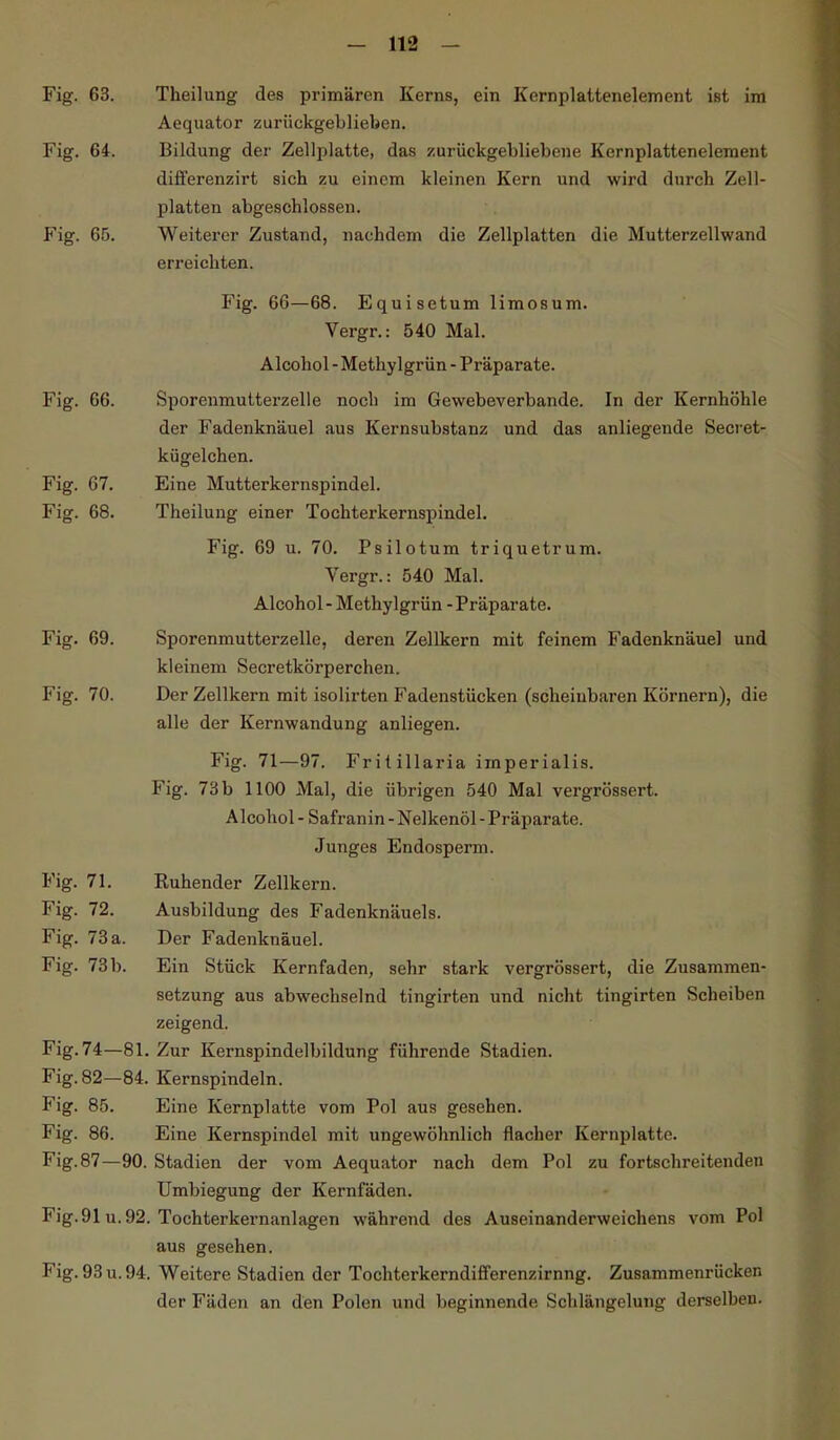 Fig. 63. Theilung des primären Kerns, ein Kernplattenelement ist im Aequator zurückgeblieben. Fig. 64. Bildung der Zellplatte, das zurückgebliebene Kernplattenelement differenzirt sich zu einem kleinen Kern und wird durch Zell- platten abgeschlossen. Fig. 65. Weiterer Zustand, nachdem die Zellplatten die Mutterzellwand erreichten. Fig. 66—68. Equisetum limosum. Vergr.: 540 Mal. Alcohol - Methylgrün - Präparate. Fig. 66. Sporenmutterzelle noch im Gewebeverbande. In der Kernhöhle der Fadenknäuel aus Kernsubstanz und das anliegende Secret- kügelchen. Fig. 67. Eine Mutterkernspindel. Fig. 68. Theilung einer Tochterkernspindel. Fig. 69 u. 70. Psilotum triquetrum. Vergr.: 540 Mal. Alcohol - Methylgrün - Präparate. Fig. 69. Sporenmutterzelle, deren Zellkern mit feinem Fadenknäuel und kleinem Secretkörperchen. Fig. 70. Der Zellkern mit isolirten Fadenstücken (scheinbaren Körnern), die alle der Kernwandung anliegen. Fig. 71—97. Fr i t illaria imperialis. Fig. 73 b 1100 Mal, die übrigen 540 Mal vergi’össert. Alcohol - Safranin - Nelkenöl - Präparate. Junges Endosperm. Fig. 71. Buhender Zellkern. Fig. 72. Ausbildung des Fadenknäuels. Fig. 73a. Der Fadenknäuel. Fig. 73b. Ein Stück Kernfaden, sehr stark vergrössert, die Zusammen- setzung aus abwechselnd tingirten und nicht tingirten Scheiben zeigend. Fig. 74—81. Zur Kernspindelbildung führende Stadien. Fig. 82—84. Kernspindeln. Fig. 85. Eine Kernplatte vom Pol aus gesehen. Fig. 86. Eine Kernspindel mit ungewöhnlich flacher Kernplatte. Fig. 87—90. Stadien der vom Aequator nach dem Pol zu fortschreitenden Umbiegung der Kernfäden. Fig. 91 u. 92. Tochterkernanlagen während des Auseinanderweichens vom Pol aus gesehen. Fig. 93 u. 94. Weitere Stadien der Tochterkerndifferenzirnng. Zusammenrücken der Fäden an den Polen und beginnende Schlängelung derselben.