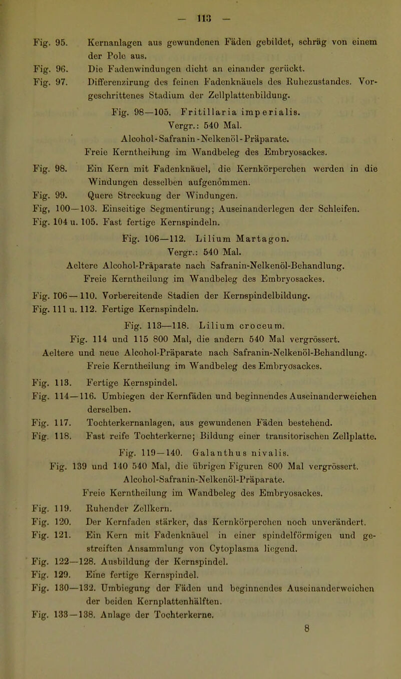 m Fig. 95. Kernanlagen aus gewundenen Fäden gebildet, schräg von einem der Polo aus. Fig. 96. Die Faden Windungen dicht an einander gerückt. Fig. 97. Differenzirung des feinen Fadenknäuels des Ruhezustandes. Vor- geschrittenes Stadium der Zellplattenbildung. Fig. 98—105. Fritillaria imperialis. Vergr.: 540 Mal. Alcohol - Safranin - Nelkenöl - Präparate. Freie Kerntheihmg im Wandbeleg des Embryosackes. Fig. 98. Ein Kern mit Fadenknäuel, die Kernkörperchen werden in die Windungen desselben aufgenömmen. Fig. 99. Quere Streckung der Windungen. Fig, 100—103. Einseitige Segmentirung; Auseinanderlegen der Schleifen. Fig. 104 u. 105. Fast fertige Kernspindeln. Fig. 106—112. Lilium Martagon. Vergr.: 540 Mal. Aeltere Alcohol-Präparate nach Safranin-Nelkenöl-Behandlung. Freie Kerntheiluug im Wandbeleg des Embryosackes. Fig. 106—110. Vorbereitende Stadien der Kernspindelbildung. Fig. 111 u. 112. Fertige Kernspindeln. Fig. 113—118. Lilium croceum, Fig. 114 und 115 800 Mal, die andern 540 Mal vergrössert. Aeltere und neue Alcohol-Präparate nach Safranin-Nelkenöl-Behandlung. Freie Kerntheilung im Wandbeleg des Embryosackes. Fig. 113. Fertige Kernspindel. Fig. 114—116. Umbiegen der Kernfäden und beginnendes Auseinanderweichen derselben. Fig. 117. Tochterkernanlagen, aus gewundenen Fäden bestehend. Fig. 118. Fast reife Tochterkerne; Bildung einer transitorischen Zellplatte. Fig. 119—140. Galanthus nivalis. Fig. 139 und 140 540 Mal, die übrigen Figuren 800 Mal vergrössert. Alcohol-Safranin-Nelkenöl-Präparate. Freie Kerntheilung im Wandbeleg des Embryosackes. Fig. 119. Ruhender Zellkern. Fig. 120. Der Kernfaden stärker, das Kernkörperchen noch unverändert. Fig. 121. Ein Kern mit Fadenknäuel in einer spindelförmigen und ge- streiften Ansammlung von Cytoplasma liegend. Fig. 122—128. Ausbildung der Kernspindel. Fig. 129. Eine fertige Kernspindel. Fig. 130—132. Umbiegung der Fäden und beginnendes Auseinanderweichen der beiden Kernplattenhälfton. Fig. 133 — 138. Anlage der Tochterkerne.