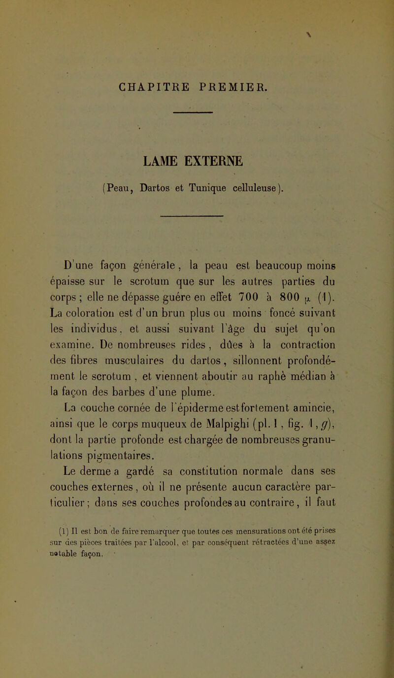 CHAPITRE PREMIER. LAME EXTERNE (Peau, Dartos et Tunique celluleuse). D'une façon générale , la peau est beaucoup moins épaisse sur le scrotum que sur les autres parties du corps ; elle ne dépasse guère en effet 700 h 800 [j. (1). La coloration est d'un brun plus ou moins foncé suivant les individus, et aussi suivant l'âge du sujet qu'on examine. De nombreuses rides, dûes à la contraction des fibres musculaires du dartos, sillonnent profondé- ment le scrotum , et viennent aboutir au raphè médian à la façon des barbes d'une plume. La couche cornée de l épiderme est fortement amincie, ainsi que le corps muqueux de Malpighi (pl. ! , fig. I ,g), dont la partie profonde est chargée de nombreuses granu- lations pigmentaires. Le derme a gardé sa constitution normale dans ses couches externes, oii il ne présente aucun caractère par- ticulier; dans ses couches profondes au contraire, il faut (1) Il est bon de faire remarquer que toutes ces mensurations ont été prises sur des pièces traitées par Talcool. et par conséquent rétractées d'une asçez Ddtable façon.