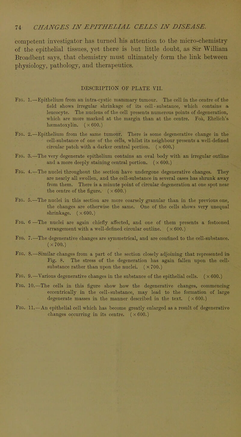 competent investigator has turned his attention to the micro-chemistry of the epithelial tissues, yet there is hut little doubt, as Sir William Broadbent says, that chemistry must ultimately form the link between physiology, pathology, and therapeutics. DESCRIPTION OF PLATE VII. Fig. 1.—Epithelium from an intra-cystic mammary tumour. The cell in the centre of the field shows irregular shrinkage of its cell - substance, which contains a leucocyte. The nucleus of the cell presents numerous points of degeneration, which are more marked at the margin than at the centre. Foa, Ehrlich's hematoxylin. (x 600.) Fig. 2.—Epithelium from the same tumour. There is some degenerative change in the cell-substance of one of the cells, whilst its neighbour presents a well-defined circular patch with a darker central portion. ( x 600.) Fig. 3.—The very degenerate epithelium contains an oval body with an irregular outline and a more deeply staining central portion. ( x 600.) Fig. 4.—The nuclei throughout the section have undergone degenerative changes. They are nearly all swollen, and the cell-substance in several cases has shrunk away from them. There is a minute point of circular degeneration at one spot near the centre of the figure. ( x 600.) Fig. 5.—The nuclei in this section are more coarsely granular than in the previous one, the changes are otherwise the same. One of the cells shows very unequal shrinkage. (x600.) Fig. 6 —The nuclei are again chiefly affected, and one of them presents a festooned arrangement with a well-defined circular outline. ( x 600.) Fig. 7.—The degenerative changes are symmetrical, and are confined to the cell-substance, (x 700.) Fig. 8.—Similar changes from a part of the section closely adjoining that represented in Fig. 8. The stress of the degeneration has again fallen upon the cell- substance rather than upon the nuclei. ( x 700.) Fig. 9.—Various degenerative changes in the substance of the epithelial cells. ( x 600.) Fig. 10.—The cells in this figure show how the degenerative changes, commencing eccentrically in the cell-substance, may lead to the formation of large degenerate masses in the manner described in the text. (x600.) Fig. 11.—An epithelial cell which has become greatly enlarged as a result of degenerative changes occurring in its centre. (x600.)