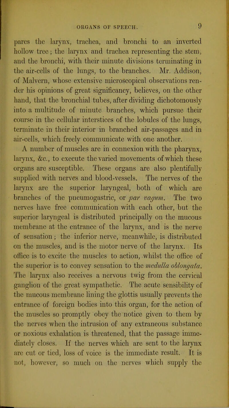 pares the larynx, trachea, and bronchi to an inverted hollow tree; the larynx and trachea representing the stem, and the bronchi, with their minute divisions terminating in the air-cells of the lungs, to the branches. Mr. Addison, of Malvern, whose extensive microscopical observations ren- der his opinions of great significancy, believes, on the other hand, that the bronchial tubes, after dividing dichotomously into a multitude of minute branches, which pursue their course in the cellular interstices of the lobules of the lungs, terminate in their interior in branched air-passages and in air-cells, which freely communicate with one another. A number of muscles are in connexion with the pharynx, larynx, &c, to execute the varied movements of which these organs are susceptible. These organs are also plentifully supplied with nerves and blood-vessels. The nerves of the larynx are the superior laryngeal, both of which are branches of the pneumogastric, or par vagum. The two nerves have free communication with each other, but the superior laryngeal is distributed principally on the mucous membrane at the entrance of the larynx, and is the nerve of sensation; the inferior nerve, meanwhile, is distributed on the muscles, and is the motor nerve of the larynx. Its office is to excite the muscles to action, whilst the office of the superior is to convey sensation to the medulla oblongata. The larynx also receives a nervous twig from the cervical ganglion of the great sympathetic. The acute sensibility of the mucous membrane lining the glottis usually prevents the entrance of foreign bodies into this organ, for the action of the muscles so promptly obey the notice given to them by the nerves when the intrusion of any extraneous substance or noxious exhalation is threatened, that the passage imme- diately closes. If the nerves which are sent to the larynx are cut or tied, loss of voice is the immediate result. It is not, however, so much on the nerves which supply the