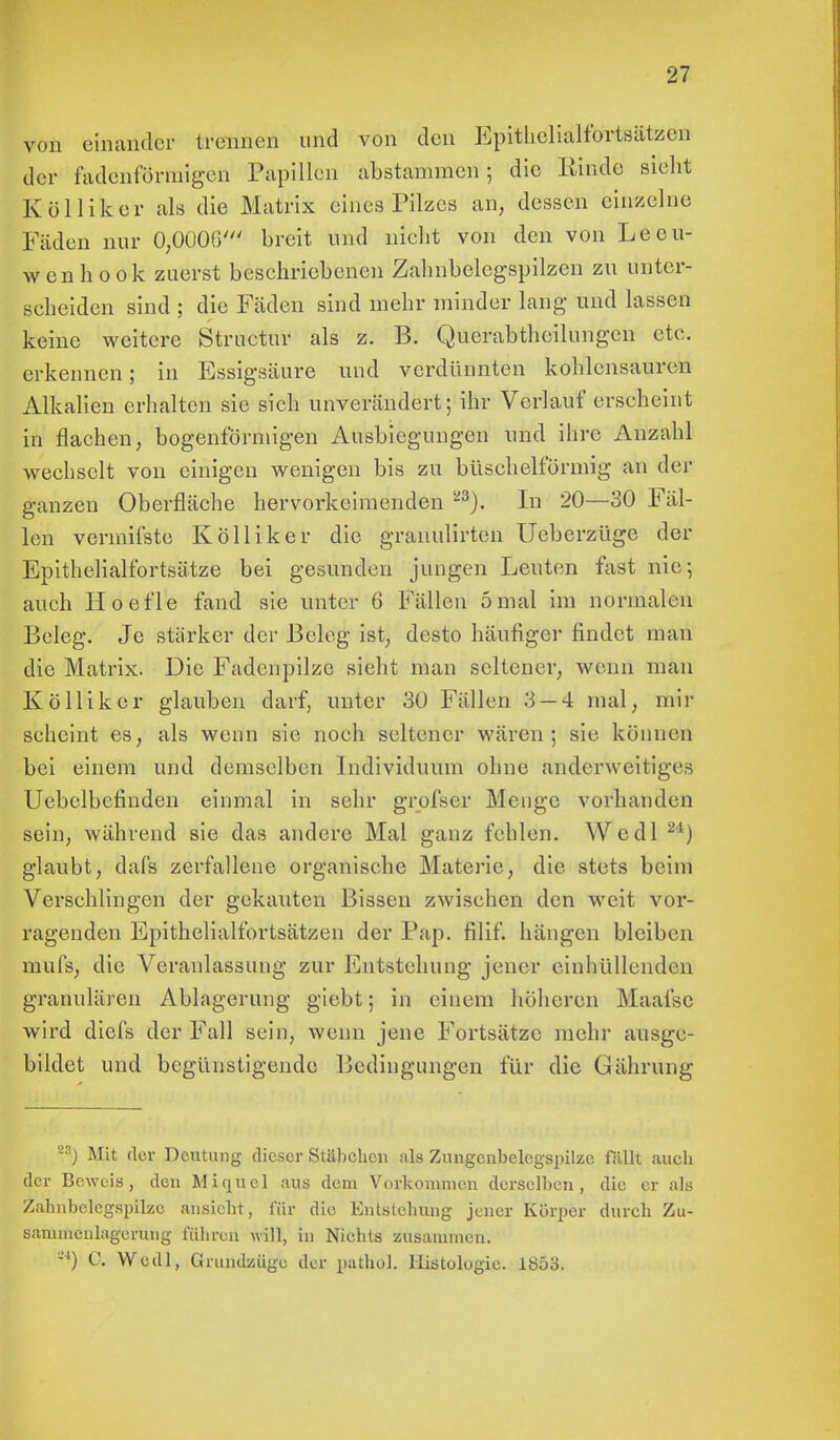 von einander trennen und von den Epithclialfortsätzcn der fadenförmigen Papillen abstammen; die Kinde sieht Kölliker als die Matrix eines Pilzes an, dessen einzelne Fäden nur 0,0006' breit und nicht von den von Leeu- wenhook zuerst beschriebenen Zahnbelegspilzen zu unter- scheiden sind ; die Fäden sind mehr minder lang und lassen keine weitere Structur als z. B. Querabtheilungen etc. erkennen; in Essigsäure und verdünnten kohlensauren Alkalien erhalten sie sich unverändert; ihr Verlauf erscheint in flachen, bogenförmigen Ausbiegungen und ihre Anzahl wechselt von einigen wenigen bis zu büschelförmig an der ganzen Oberfläche hervorkeimenden 23). In 20—30 Fäl- len vermifste Kölliker die granulirten Ueberzüge der Epithelialfortsätze bei gesunden jungen Leuten fast nie; auch Hoefle fand sie unter 6 Fällen 5 mal im normalen Beleg. Je stärker der Beleg ist, desto häufiger findet man die Matrix. Die Fadenpilze sieht man seltener, wenn man Kölliker glauben darf, unter 30 Fällen 3 — 4 mal, mir seheint es, als wenn sie noch seltener wären; sie können bei einem und demselben Individuum ohne anderweitiges Uebelbefinden einmal in sehr grofser Menge vorhanden sein, während sie das andere Mal ganz fehlen. Wedl 24) glaubt, dafs zerfallene organische Materie, die stets beim Verschlingen der gekauten Bissen zwisehen den weit vor- ragenden Epithelialfortsätzen der Pap. filif. hängen bleiben mufs, die Veranlassung zur Entstehung jener einhüllenden granulären Ablagerung giebt; in einem höheren Maafse wird diel's der Fall sein, wenn jene Fortsätze mehr ausge- bildet und begünstigende Bedingungen für die Gährung 23) Mit der Deutung dieser Stäbchen als Zungcnbelcgspilze füllt auch der Beweis, den Miquel aus dem Vorkommen derselben, die er als Zahnbclegspilzc ansiebt, für die Entstellung jener Körper durch Zu- sammcnlagerung führen will, in Niehls zusammen. -4) C. Wcdl, Grundzüge der pathol. Histologie. 1853.