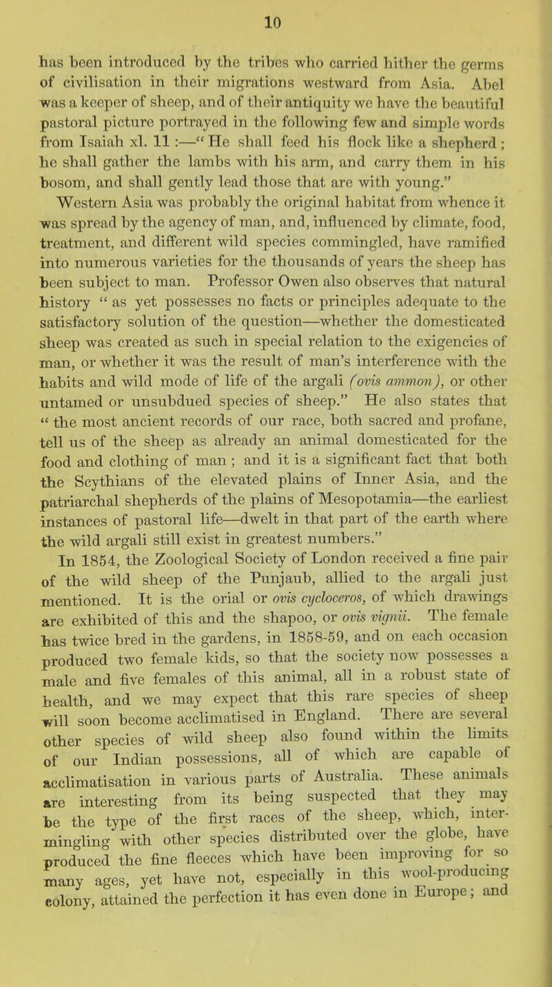 has been introduced by the tribet? who carried hither the germs of civilisation in their migrations westward from Asia. Abel was a keeper of sheep, and of their antiquity we have the beautiful pastoral picture portrayed in tbe following few and simple words from Isaiah xl. 11:— He shall feed his flock like a shepherd ; he shall gather the lambs with his arm, and carry them in his bosom, and shall gently lead those that are with young. Western Asia was probably the original habitat from whence it ■was spread by the agency of man, and, influenced by climate, food, treatment, and different wild species commingled, have ramified into numerous varieties for the thousands of years the sheep has been subject to man. Professor Owen also observes that natural history  as yet possesses no facts or principles adequate to the satisfactory solution of the question—^whether the domesticated sheep was created as such in special relation to the exigencies of man, or whether it was the result of man's interference with the habits and wild mode of life of the argaU (ovis ammon), or other untamed or unsubdued species of sheep. He also states that  the most ancient records of our race, both sacred and profane, tell us of the sheep as already an animal domesticated for the food and clothing of man ; and it is a significant fact that both the Scythians of the elevated plains of Inner Asia, and the patriarchal shepherds of the plains of Mesopotamia—the earliest instances of pastoral life—dwelt in that part of the earth where the wild argali still exist in greatest numbers. In 1854, the Zoological Society of London received a fine pair of the wild sheep of the Punjaub, allied to the argali just mentioned. It is the orial or ovis cycloceros, of which drawings are exhibited of this and the shapoo, or ovis vignii. The female has twice bred in the gardens, in 1858-59, and on each occasion produced two female kids, so that the society now possesses a male and five females of this animal, all in a robust state of health, and we may expect that this rare species of sheep uriU soon become acclimatised in England. There are several other species of wild sheep also found within the limits of our Indian possessions, all of which are capable of acchmatisation in various parts of Australia. These animals are interesting from its being suspected that they may be the type of the first races of the sheep, which, mter- mingling with other species distributed over the globe, have produced the fine fleeces which have been improving for so many ages, yet have not, especially in this wool-producmg colony, attained the perfection it has even done an Europe; and