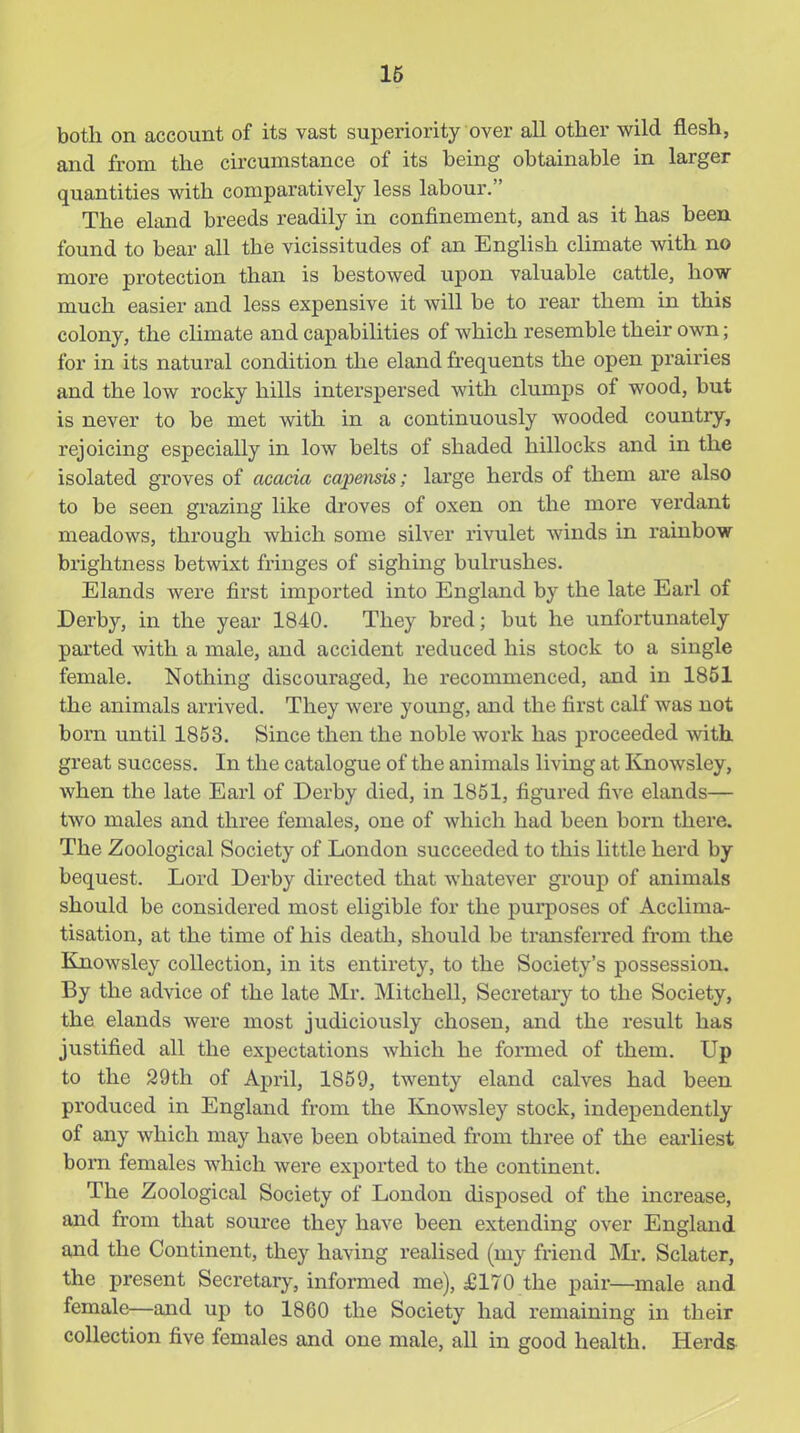 16 both on account of its vast superiority over all other wild flesh, and from the circumstance of its being obtainable in larger quantities with comparatively less labour. The eland breeds readily in confinement, and as it has been, found to bear all the vicissitudes of an English climate with no more protection than is bestowed upon valuable cattle, how much easier and less expensive it will be to rear them in this colony, the climate and capabilities of which resemble their own; for in its natural condition the eland frequents the open prairies and the low rocky hills interspersed with clumps of wood, but is never to be met with in a continuously wooded country, rejoicing especially in low belts of shaded hillocks and in the isolated groves of acacia capensis; large herds of them are also to be seen grazing like droves of oxen on the more verdant meadows, through which some silver rivulet winds in rainbow brightness betwixt fringes of sighing bulrushes. Elands were first imported into England by the late Earl of Derby, in the year 1840. They bred; but he unfortunately parted with a male, and accident reduced his stock to a single female. Nothing discouraged, he recommenced, and in 1861 the animals arrived. They were young, and the first calf was not bom until 1853. Since then the noble work has proceeded with, great success. In the catalogue of the animals living at I^nowsley, when the late Earl of Derby died, in 1851, figured five elands— two males and three females, one of which had been bom there. The Zoological Society of London succeeded to this little herd by bequest. Lord Derby directed that whatever group of animals should be considered most eligible for the purposes of Acclima- tisation, at the time of his death, should be transferred from the Knowsley collection, in its entirety, to the Society's possession. By the advice of the late Mr. Mitchell, Secretary to the Society, the elands were most judiciously chosen, and the result has justified all the expectations which he formed of them. Up to the 29th of April, 1859, twenty eland calves had been produced in England from the Kjiowsley stock, independently of any which may have been obtained from three of the earliest born females which were exported to the continent. The Zoological Society of London disposed of the increase, and from that source they have been extending over England and the Continent, they having realised (my friend Mr, Sclater, the present Secretary, informed me), £170 the pair—male and female—and up to 1860 the Society had remaining in their collection five females and one male, all in good health. Herd&