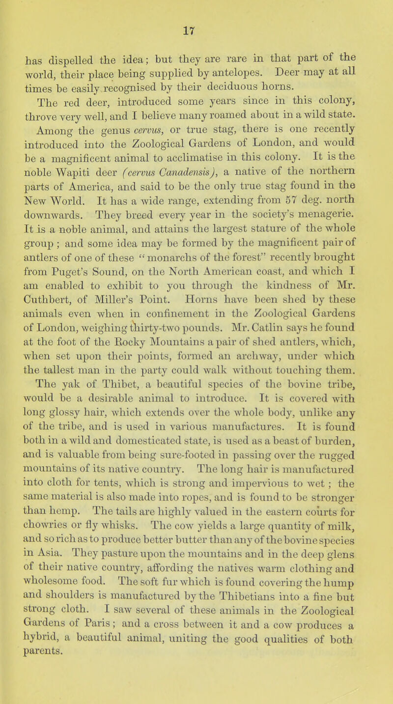 has dispelled the idea; but they are rare in that part of the world, their place being supplied by antelopes. Deer may at all times be easily recognised by their deciduous horns. The red deer, introduced some years since in this colony, throve very well, and I believe many roamed about in a wild state. Among the genus cervus, or true stag, there is one recently introduced into the Zoological Gardens of London, and would be a magnificent animal to acclimatise in this colony. It is the noble Wapiti deer (cervus Canadensis), a native of the northern parts of America, and said to be the only true stag found in the New World. It has a wide range, extending from 57 deg. north downwards. They breed every year in the society's menagerie. It is a noble animal, and attains the largest stature of the whole group ; and some idea may be formed by the magnificent pair of antlers of one of these  monarclis of the forest recently brought from Puget's Sound, on the North American coast, and which I am enabled to exhibit to you through the kindness of Mr. Cuthbert, of Miller's Point. Horns have been shed by these animals even when in confinement in the Zoological Gardens of London, weighing tliirty-two pounds. Mr. Catlin says he found at the foot of the Bocky Mountains a pair of shed antlers, which, when set upon their points, formed an archway, under which the tallest man in the party could walk without touching them. The yak of Thibet, a beautiful species of the bovine tribe, would be a desirable animal to introduce. It is covered with long glossy hair, Avhich extends over the whole body, unlike any of the tribe, and is used in various manufactures. It is found both in a wild and domesticated state, is used as a beast of burden, and is valuable from being sure-footed in passing over the riigged mountains of its native country. The long hair is manufactured into cloth for tents, which is strong and impervious to wet; the same material is also made into ropes, and is found to be stronger than hemp. The tails are highly valued in the eastern courts for chowries or fly whisks. The cow yields a large quantity of milk, and so rich as to produce better butter than any of the bovine species in Asia. They pasture upon the mountains and in the deep glens of their native country, affording the natives warm clothing and wholesome food. The soft fur which is found covering the hump and shoulders is manufactured by the Thibetians into a fine but strong cloth. I saw several of these animals in the Zoological Gardens of Paris; and a cross between it and a cow produces a hybrid, a beautiful animal, uniting the good qualities of both parents.