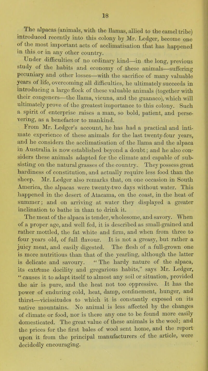 The alpacas (animals, with the llamas, allied to the camel tribe) introduced recently into this colony by Mr. Ledger, become one of the most important acts of acclimatisation that has happened in this or in any other country. Under difficulties of no ordinary kind—in the long, previous study of the habits and economy of these animals—suffering pecuniary and other losses—with the sacrifice of many valuable years of life, overcoming all difficulties, he ultimately succeeds in introducing a large flock of these valuable animals (together with their congeners—the llama, vicuna, and the guanaco), which will ultimately prove of the greatest importance to this colony. Such a spirit of enterprise raises a man, so bold, patient, and perse- vering, as a benefactor to mankind. From Mr. Ledger's account, he has had a practical and inti- mate experience of these animals for the last twenty-four years, and he considers the acclimatisation of the llama and the alpaca in Australia is now established beyond a doubt; and he also con- siders these animals adapted for the climate and capable of sub- sisting on the natural grasses of the country. They possess great hardiness of constitution, and actually require less food than the sheep. Mr. Ledger also remarks that, on one occasion in South America, the alpacas were twenty-two days vnthout water. This happened in the desert of Atacama, on the coast, in the heat of summer; and on arriving at water they displayed a greater inclination to bathe in thaii to drink it. The meat of the alpaca is tender, wholesome, and savory. When of a proper age, and well fed, it is described as small-grained and rather mottled, the fat white and firm, and when from three to four years old, of full flavour. It is not a greasy, but rather a juicy meat, and easily digested. The flesh of a full-grown one is more nutritious than that of the yeai-ling, although the latter is delicate and savoury.  The hardy nature of the alpaca, its exti^me docility and gregarious habits, says Mr. Ledger,  causes it to adapt itself to almost any soil or situation, provided the air is pure, and the heat not too oppressive. It has the power of enduring cold, heat, damp, confinement, hunger, and thirst—vicissitudes to which it is constantly exposed on its native mountains. No animal is less afi'ected by the changes of climate or food, nor is there any one to be found more easily domesticated. The great value of these animals is the wool; and the prices for the first bales of wool sent home, and the report upon it from the principal manufacturers of the article, Avere decidedly encouraging.