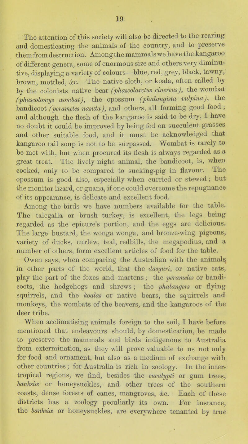 The attention of this society will also he directed to the rearing and domesticating the animals of the country, and to preserve them from destruction. Among the mammals we have the kangaroo of different genera, some of enormous size and others very diminu- tive, displaying a variety of colours—blue, red, grey, black, tawny, brown, mottled, &c. The native sloth, or koala, often called by by the colonists native bear (phascolarctus cineremj, the wombat (fhascolomys wombat), the opossum (phalangista vidpina), the bandicoot (perameles nasuta), and others, all forming good food ; and although the flesh of the kangaroo is said to be dry, I have no doubt it could be improved by being fed on succulent grasses and other suitable food, and it must be acknowledged that kangaroo tail soup is not to be surpassed. Wombat is rarely to be met with, but when procured its flesh is always regarded as a great treat. The lively night animal, the bandicoot, is, when cooked, only to be compared to sucking-pig in flavour. The opossum is good also, especially when curried or stewed ; but the monitor lizard, or guana, if one could overcome the repugnance of its appearance, is delicate and excellent food. Among the birds we have numbers available for the table. The talegalla or brush turkey, is excellent, the legs being regarded as the epicure's portion, and the eggs are delicious. The large bustard, the wonga Avonga, and bronze-wing pigeons, variety of ducks, curlew, teal, redbills, the megapodius, and a number of others, form excellent articles of food for the table. Owen says, when comparing the Austi'alian with the animal^ in other parts of the Avorld, that the dasyuri, or native cats, play the part of the foxes and martens; the pei-ameles or bandi- coots, the hedgehogs and shrews; the phalangeis or flying squirrels, and the koalas or native bears, the squirrels and monkeys, the wombats of the beavers, and the kangaroos of the deer tribe. When acclimatising animals foreign to the soil, I have before mentioned that endeavours should, by domestication, be made to presence the mammals and birds indigenous to Australia from extermination, as they will prove valuable to us not only for food and ornament, but also as a medium of exchange with other countries; for Australia is rich in zoology. In the inter- tropical regions, we find, besides the eucalypti or gum trees, banlcsioe or honeysuckles, and other trees of the southern coasts, dense forests of canes, mangroves, &c. Each of these districts has a zoology peculiarly its own. For instance, the banksioi or honeysuckles, are everywhere tenanted by true