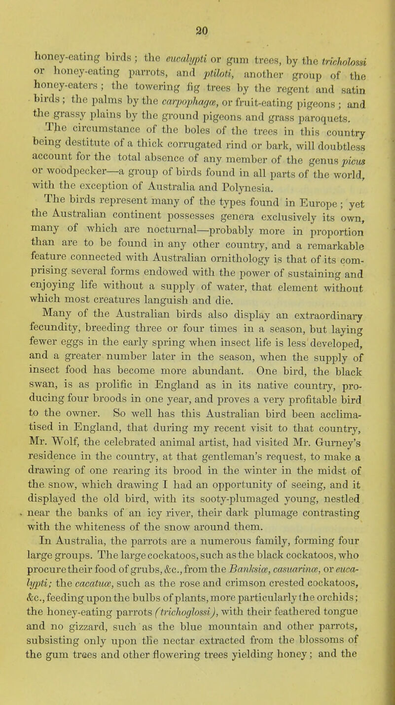 30 honey-eating birds ; the eucalypti or gum trees, by the tricholosd or lioney-eating parrots, and ptihti, another group of the honey-eaters ; the towering fig trees by the regent and satin birds ; the pahns by the carpophaycc, or fruit-eating pigeons ; and tlie grassy plains by the ground pigeons and grass paroquets. The circumstance of the boles of the trees in this country being destitute of a thick corrugated rind or bark, will doubtless account for the total absence of any member of the genus pieus or woodpecker—a group of birds found in all parts of the world, with the exception of Australia and Pol}'nesia, The birds represent many of the types found in Europe ; yet the Australian continent possesses genera exclusively its own, many of which are nocturnal—probably more in proportion than are to be found in any other country, and a remarkable feature connected with Australian ornithology is that of its com- prising several forms endowed with the power of sustaining and enjoying life without a supply of water, that element without which most creatures languish and die. Many of the Australian birds also display an extraordinai^ fecundity, breeding three or four times in a season, but laying fewer eggs in the early spring when insect life is less developed, and a greater number later in the season, when the supply of insect food has become more abundant. One bird, the black swan, is as prolific in England as in its native country, pro- ducing four broods in one year, and proves a very profitable bird to the owner. So well has this Australian bird been acclima- tised in England, that during my recent visit to that country, Mr, Wolf, the celebrated animal artist, had visited Mr. Gumey's residence in the country, at that gentleman's request, to make a drawing of one rearing its brood in the -winter in the midst of the. snow, which drawing I had an opportunity of seeing, and it displayed the old bird, with its sooty-plumaged young, nestled . near the banks of an icy river, their dark plumage contrasting with the whiteness of the snow around them. In Australia, the parrots are a numerous family, forming four large groups. The large cockatoos, such as the black cockatoos, who procure their food of grubs, &c., from the Banksice, casuarmce, or euca- lypti; the cacatuoe, such as the rose and crimson crested cockatoos, &c., feeding upon the bulbs of plants, more particularly the orchids; the honey-eating parrots (trichoglossi), with their feathered tongue and no gizzard, such as the blue mountain and other parrots, subsisting only upon the nectar extracted from the blossoms of the gum trees and other flowering ti-ees yielding honey; and the