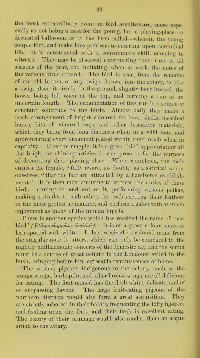 33 the most extraordinaiy event in bird architecture, more espe- cially as not being a nest for the young, but a playing-place—a decorated ball-room as it has been called—wherein the young couple flirt, and make love previous to entering upon connubial life. It is constructed with a consunmiate skill, amusing to witness. They may be observed constructing their runs at all seasons of the year, and imitating, when at work, the notes of the various birds around. The bird is seen, from the remains of an old broom, or any twigs thrown into the aviary, to take a twig, place it firmly in the ground, slightly bent inward, the bower being left open at the top, and forming a run of an uncertain length. The ornamentation of this run is a source of constant solicitude to the birds. Almost daily they make a fresh arrangement of bright coloured feathers, shells, bleached bones, bits of coloured rags, and other decorative materials, which they bring from long distances when in a Avild state, and appropriating every ornament placed within their I'each when in captivity. Like the magpie, it is a great thief, appropriating all the bright or shining articles it can procure for the purpose of decorating their playing place. Wlien completed, the male entices the female,  fully aware, no doubt, as a satirical writer observes,  that the fair are attracted by a handsome establish- ment. It is then most amusing to witness the antics of these birds, running in and out of it, performing various j)olkas, making attitudes to each other, the males setting their feathers in the most grotesque manner, and perform a galop with as much enjoyment as many of the human bipeds. There is another sj)ecies which has received the name of cat bird (Ptilonorhynchus SmithiiJ. It is of a green colour, more or less spotted with white. It has received its colonial name from the singular note it utters, which can only be compared to the nightly philharmonic concerts of the domestic cat, and the sound must be a source of great delight to the Londoner exiled in the bush, bringing before him agreeable reminiscences of home. The various pigeons indigenous to the colony, such as the wonga wonga, harlequin, and other bronze-wings, are all delicious for eating. The first named has the flesh white, delicate, and of of surpassing flavour. The large fruit-eating pigeons of the noi-them districts would also form a great acquisition. They are strictly arboreal in their habits, frequenting the lofty fig-trees and feeding upon the fruit, and their flesh is excellent eating. The beauty of their plumage would also render them an acqui- sition to the aviary.
