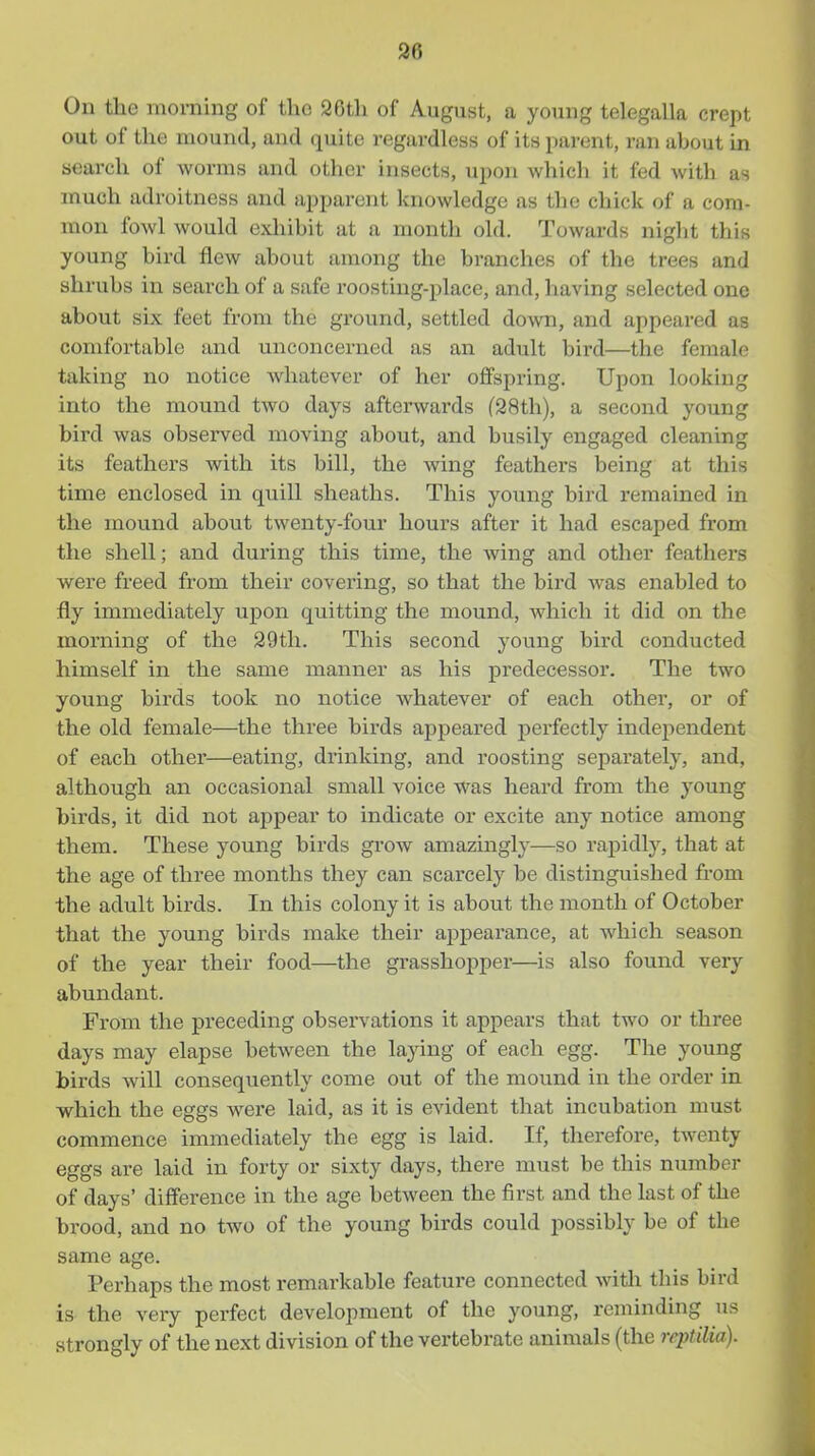 S6 On the morning of the 26th of August, a young telegalla crept out of the mound, and quite regardless of its i)arent, ran about in search of worms and other insects, upon which it fed with as much adroitness and apparent knowledge as the chick of a com- mon fowl would exliibit at a month old. Towards night this young bird flew about among the branches of the trees and shrubs in search of a safe roosting-place, and, having selected one about six feet fnmi the ground, settled do^vn, and appeared as comfortable and unconcerned as an adult bird—the female taking no notice Avhatever of her offspring. Upon looking into the mound two days afterwards f28th), a second young bird was observed moving about, and busily engaged cleaning its feathers with its bill, the wing feathers being at this time enclosed in quill sheaths. This young bird remained in the mound about twenty-four hours after it had escaped from the shell; and during this time, the wing and other feathers were freed from their covering, so that the bird was enabled to fly immediately upon quitting the mound, which it did on the morning of the 29th. This second young bird conducted himself in the same manner as his predecessor. The two young birds took no notice whatever of each other, or of the old female—the three birds appeared jierfectly independent of each other—eating, drinking, and roosting separately, and, although an occasional small voice was heard from the young birds, it did not aj)pear to indicate or excite any notice among them. These young birds grow amazingly—so rapidly, that at the age of three months they can scarcely be distinguished from the adult birds. In this colony it is about the month of October that the young birds make their appearance, at which season of the year their food—the grasshopper—is also found very abundant. From the preceding observations it appears that two or three days may elapse between the laying of each egg. The young birds will consequently come out of the mouiad in the order in which the eggs were laid, as it is evident that incubation must commence immediately the egg is laid. If, therefore, twenty eggs are laid in forty or sixty days, there must be this number of days' difference in the age between the first and the last of the brood, and no tAvo of the young birds could possibly be of the same age. Perhaps the most remarkable feature connected witli this bird is the very perfect development of the young, reminding us strongly of the next division of the vertebrate animals (the reptilia).