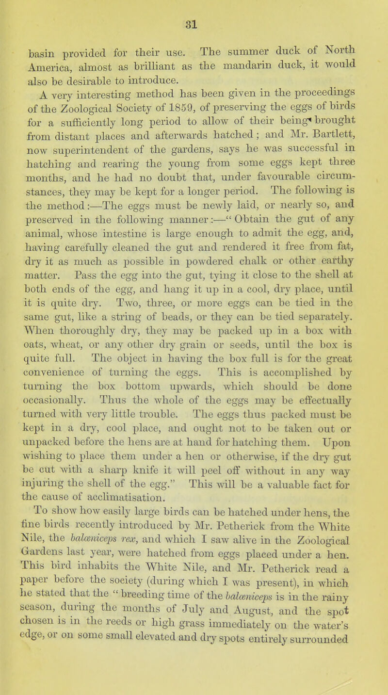 basin provided for their use. The summer duck of North America, almost as brilliant as the mandarin duck, it would also be desirable to introduce. A very interesting method has been given in the proceedings of the Zoological Society of 1859, of presei-ving the eggs of birds for a sufficiently long period to allow of their beings brought from distant places and afterwards hatched ; and Mr. Bartlett, now superintendent of the gardens, says he was successful in hatching and rearing the young from some eggs kept three months, and he had no doubt that, under favourable circum- stances, they may be kept for a longer period. The following is the method:—The eggs must be newly laid, or nearly so, and preserved in the following manner:— Obtain the gut of any animal, whose intestine is large enough to admit the egg, and, having carefully cleaned the gut and rendered it free from fat, dry it as much as possible in powdered chalk or other earthy matter. Pass the egg into the gut, tying it close to the shell at both ends of the egg, and hang it up in a cool, dry place, until it is quite dry. Two, three, or more eggs can be tied in the same gut, like a string of beads, or they can be tied separately. When thoroughly dry, they may be packed up in a box with oats, wheat, or any other diy grain or seeds, until the box is quite full. The object in having the box full is for the great convenience of turning the eggs. This is accomplished by turning the box bottom upwards, which should be done occasionally. Thus the whole of the eggs may be effectually turned Avith very little trouble. The eggs thus packed must be kept in a dry, cool place, and ought not to be taken out or unpacked before the hens ai-e at hand for hatching them. Upon wishing to place them under a hen or otherwise, if the dry gut be cut with a sharp knife it will peel off without in any way injuring the shell of the egg. This will be a valuable fact for the cause of acclimatisation. To show how easily large birds can be hatched under hens, the tine birds recently introduced by Mr. Petherick from the White Nile, the balceniceps rex, and whicli I saw alive in the Zoological Gardens last year, were hatched from eggs placed under a hen. This bird inhabits the White Nile, and Mr. Petherick read a paper before the society (during which I was present), in which lie stated that the  breeding time of the balceniceps is in the rainy season, during the months of July and August, and the spot chosen is in the reeds or high grass immediately on the water's edge, or on some small elevated and di^^ spots entirely surrounded