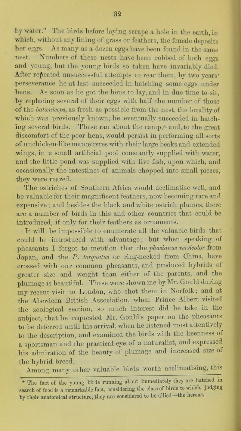hy water. The birds before laying scrape a hole in the earth, in which, without any lining of grass or feathers, the female deposits her eggs. As many as a dozen eggs have been found in the same nest. Numbers of these nests have been robbed of both eggs and young, but the young birds so taken have invariably died. After repeated unsuccessful attempts to rear them, by two years' perseverance he at last succeeded in hatching some eggs under hens. As soon as he got the hens to lay, and in due time to sit, hy replacing several of their eggs with half the number of those of the halccniceps, as fresh as possible from the nest, the locality of which was previously known, he eventually succeeded in hatch- ing several birds. These ran about the camp,- and, to the great discomfort of the poor hens, would persist in performing all sorts of unchicken-like manoeuvres with their large beaks and extended wings, in a small artificial pool constantly supplied with water, and the little pond was supplied with live fish, upon which, and occasionally the intestines of animals chopped into small pieces, they were reared. The ostriches of Southern Africa would acclimatise well, and be valuable for their magnificent feathers, now becoming rare and expensive ; and besides the black and white ostrich plumes, there are a number of birds in this and other countries that could be introduced, if only for their feathers as ornaments. It will be impossible to enumerate all the valuable birds that could be introduced with advantage; but when speaking of pheasants I forgot to mention that the phasianus versicolor from Japan, and the P. torquatus or ring-necked from China, have crossed with our common pheasants, and produced hybrids of greater size and weight than either of the parents, and the plumage is beautiful. These were shown me by Mr. Gould during my recent visit to London, Avho shot them in Norfolk; and at the Aberdeen British Association, when Prince Albert visited the zoological section, so much interest did he take in the subject, that he requested Mr. Gould's paper on the pheasants to be deferred until his arrival, when he listened most attentively to the description, and examined the birds with the keenness of a sportsman and the practical eye of a naturalist, and expressed his admiration of the beauty of plumage and increased size of the hybrid breed. Among many other valuable birds worth acclimatising, this * The fact of the young birds running about immediately they are hatched ia search of food is a remarkable fact, considering the class of birds to which, judging by their anatomical structure, they are considered to be allied—the herons.