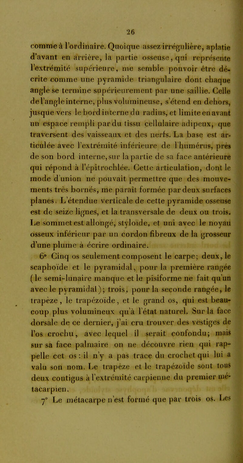 comme à l’ordinaire. Quoique assez irrégulière, aplatie d’avant en arrière, la partie osseuse, qui représente l’extrémité supérieure, me semble pouvoir être dé- crite comme une pyramide triangulaire dont chaque angle se termine supérieurement par une saillie. Celle de l’angle interne, plus volumineuse, s’étend en dehors, jusque vers le bord interne du radius, et limite en avant nn espace rempli par du tissu cellulaire adipeux, que traversent des vaisseaux et des nerfs. La base est ar- ticulée avec l’extrémité inférieure de l’humérus, près de son bord interne,sur la partie de sa face antérieure qui répond à l’épitrochlée. Cette articulation, dont le mode d’union ne pouvait permettre que des mouve- ments très bornés, me paraît formée par deux surfaces planes. L’étendue verticale de cette pyramide osseuse est de seize lignes, et la transversale de deux ou trois. Le sommet est allongé, styloïde, et uni avec le noyau osseux inférieur par un cordon fibreux de la grosseur d’une plume à écrire ordinaire. 6° Cinq os seulement composent le carpe; deux, le scaphoïde et le pyramidal, pour la première rangée (le semi-lunaire manque et le pisiforme ne fait qu’un avec le pyramidal); trois, pour la seconde rangée, le trapèze , le trapézoïde, et le grand os, qui est beau- coup plus volumineux qu’à l’état naturel. Sur la face dorsale de ce dernier, j’ai cru trouver des vestiges de l’os crochu, avec lequel il serait confondu; mais sur sa face palmaire on ne découvre rien qui rap- pelle cet os : il n’y a pas trace du crochet qui lui a valu son nom. Le trapèze et le trapézoïde sont tous deux contigus à l’extrémité carpienne du premier mé- tacarpien. 70 Le métacarpe n’est formé que par trois os. Les