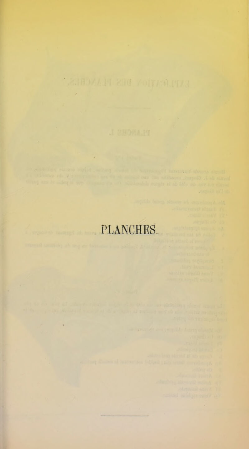 PLANCHES.