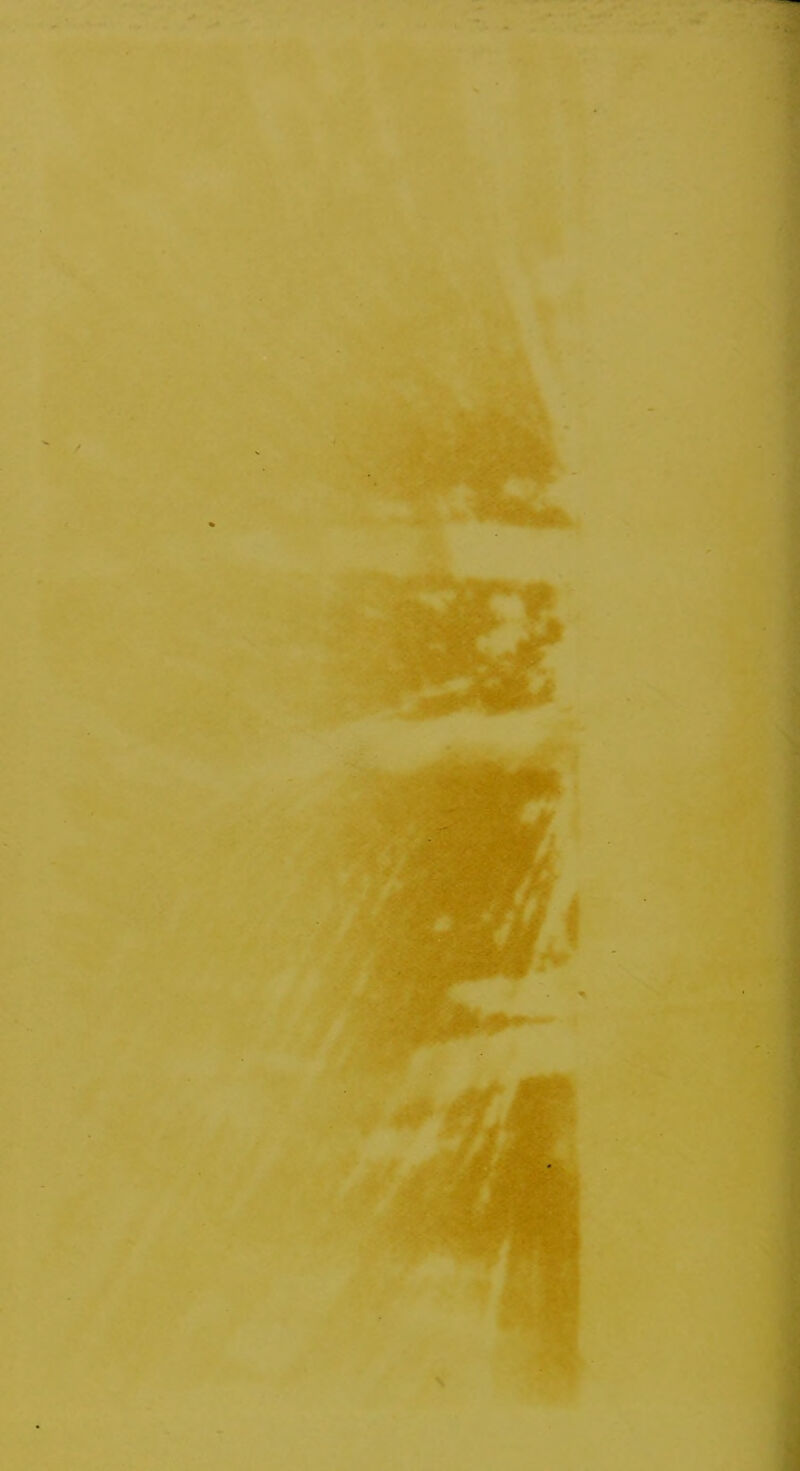 I'