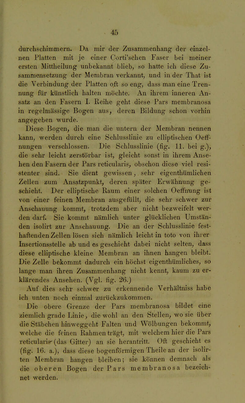 durchschimmern. Da mir der Zusammenliang der einzel- nen Platten mit je einer Corti'sclien Faser bei meiner ersten Mittheilung unbekannt blieb, so hatte ich diese Zu- sammensetzung der Membran verkannt, und in der That ist die Verbindung der Platten o^t so eng, dass man eine Tren- nung für künstlich halten möchte. An ihrem inneren An- satz an den Fasern I. Reihe geht diese Pars membranosa in regelmässige Bogen aus, deren Bildung schon vorhin angegeben wurde. Diese Bogen, die man die untern der Membran nennen kann, werden durch eine Schlusslinie zu elliptischen OelF- nungen verschlossen. Die Schlusslinie (fig. 11. bei g.), die sehr leicht zerstörbar ist, gleicht sonst in ihrem Anse- hen den Fasern der Pars reticularis, obschon diese viel resi- stenter sind. Sie dient gewissen, sehr eigenthümlichen Zellen zum Ansatzpunkt, deren später Erwähnung ge- schieht. Der elliptische Baum einer solchen OefFnting ist von einer feinen Membran ausgefüllt, die sehr schwer zur Anschauung kommt, trotzdem aber nicht bezweifelt wer- den darf. Sie kommt nämlich unter glücklichen Umstän- den isolirt zur Anschauung. Die an der Schlusslinie fest- haftenden Zellen lösen sich nämlich leicht in toto von ihrer Insertionsstelle ab und es geschieht dabei nicht selten, dass diese elliptische kleine Membran an ihnen hangen bleibt. Die Zelle bekommt dadurch ein höchst eigenthümliches, so lange man ihren Zusammenhang nicht kennt, kaum zu er- klärendes Ansehen. (Vgl. fig. 26.) Auf dies sehr schwer zu erkennende Verhältniss habe ich unten noch einmal zurückzukommen. Die obere Grenze der Pars membranosa bildet eine ziemlich grade Linie, die wohl an den Stellen, wo sie über die Stäbchen hinweggeht Falten und Wölbungen bekommt, welche die feinen Rahmen trägt, mit welchem hier die Pars reticularis'(das Gitter) an sie herantritt. Oft geschieht es (fig. 16. a.), dass diese bogenförmigen Theile an der isolir- ten Membran hangen bleiben; sie iönnen demnach als die oberen Bogen der Pars membranosa bezeich- net werden.