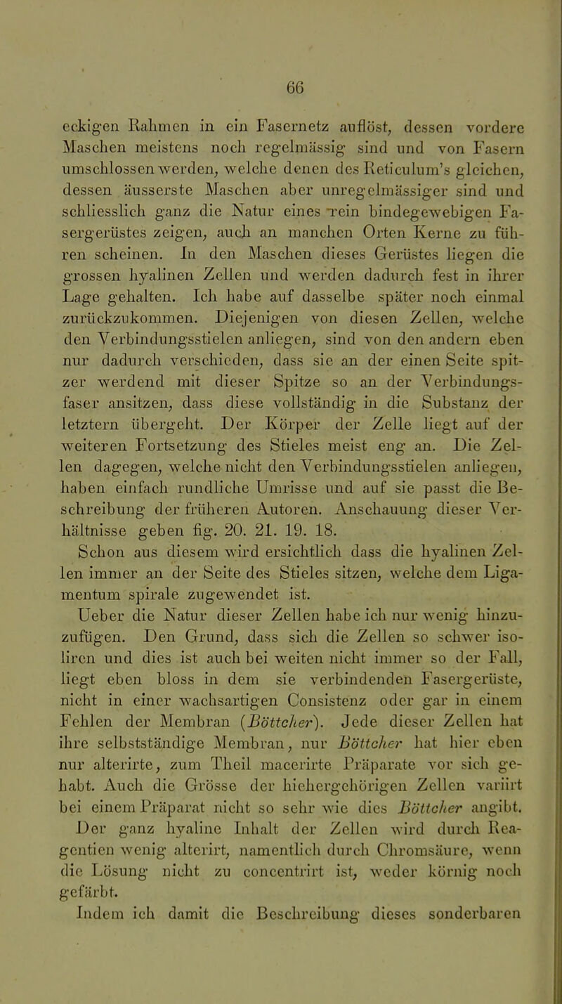 eckigen Rahmen in ein Fasernetz auflöst, dessen vordere Maschen meistens noch regelmässig sind und von Fasern umschlossen w^erden, welche denen des Reticulum's gleichen, dessen äusserste Maschen aber unregelmässiger sind und schliesslich ganz die Natur eines Tein bindegewebigen Fa- sergerüstes zeigen, auch an manchen Orten Kerne zu füh- ren scheinen. In den Maschen dieses Gerüstes liegen die grossen hyalinen Zellen und werden dadurch fest in ihrer Lage gehalten. Ich habe auf dasselbe später noch einmal zurückzukommen. Diejenigen von diesen Zellen, welche den Verbindungsstielen anliegen, sind von den andern eben nur dadurch verschieden, dass sie an der einen Seite spit- zer werdend mit dieser Spitze so an der Yerbindungs- faser ansitzen, dass diese vollständig in die Substanz der letztern übergeht. Der Körper der Zelle liegt auf der weiteren Fortsetzung des Stieles meist eng an. Die Zel- len dagegen, welche nicht den Verbinduugsstielen anliegen, haben einfach rundliche Umrisse und auf sie passt die Be- schreibung der früheren Autoren, Anschauung dieser Ver- hältnisse geben fig. 20. 21. 19. 18. Schon aus diesem wird ersichtlich dass die hyalinen Zel- len immer an der Seite des Stieles sitzen, welche dem Liga- mentum Spirale zugewendet ist. Ueber die Natur dieser Zellen habe ich nur wenig hinzu- zufügen. Den Grund, dass sich die Zellen so schwer iso- lircn und dies ist auch bei weiten nicht immer so der Fall, liegt eben bloss in dem sie verbindenden Fasergerüste, nicht in einer wachsartigen Consistenz oder gar in einem Fehlen der Membran {Böttcher). Jede dieser Zellen hat ihre selbstständige Membran, nur Böttclier hat hier eben nur alterirte, zum Theil macerirte Präparate vor sich ge- habt. Auch die Grösse der hiehergehörigen Zellen variirt bei einem Präparat nicht so sehr wie dies Böttcher angibt. Der ganz hyaline Inhalt der Zellen wird durcli Rea- gentien wenig alterirt, namentlich durch Chromsäure, wenn die Lösung nicht zu concentrirt ist, weder körnig noch gefärbt. Indem ich damit die Beschreibung dieses sonderbaren