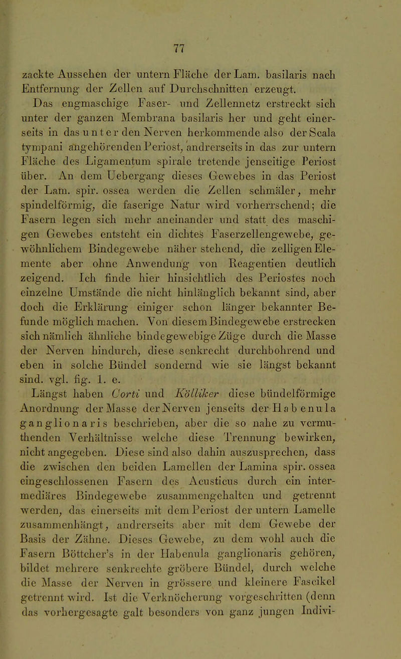 zackte Aussehen der untern Fläche der Lam. basilaris nach Entfernung der Zellen auf Durchschnitten erzeugt. Das engmaschige Faser- und Zellennetz erstreckt sich unter der ganzen Membrana basilaris her und geht einer- seits in das unter den Nerven herkommende also derScala tympani ffngehörendenPeriost/andrerseits in das zur untern Fläche des Ligamentum spirale tretende jenseitige Periost über. An dem üebergang dieses Gewebes in das Periost der Lam. spir. ossea werden die Zellen schmäler, mehr spindelförmig; die faserige Natur wird vorherrschend; die Fasern legen sich mehr aneinander und statt des maschi- gen Gewebes entsteht ein dichtes Faserzellengewebe, ge- wöhnlichem Bindegewebe näher stehend^ die zelligen Ele- mente aber ohne Anwendung von Reagentien deutlich zeigend. Ich finde hier hinsichtlich des Periostes noch einzelne Umstände die nicht hinlänglich bekannt sind, aber doch die Erklärung einiger schon länger bekannter Be- funde möglich machen. Von diesem Bindegewebe erstrecken sich nämlich ähnliche bindegewebige Züge durch die Masse der Nerven hindurch, diese senkrecht durchbohrend und eben in solche Bündel sondernd wie sie längst bekannt sind. vgl. fig. 1. e. Längst haben Corti und Kölliker diese bündelförmigc Anordnung der Masse derNervcn jenseits derHabenula ganglionaris beschrieben, aber die so nahe zu vcrmu- thenden Verhältnisse welche diese Trennung bewirken, nicht angegeben. Diese sind also dahin auszusprechen, dass die zwischen den beiden Lamellen der Lamina spir. ossea eingeschlossenen Fasern des Acusticus durch ein inter- mediäres Bindegewebe zusammengehalten und getrennt werden, das einerseits mit dem Periost der untern Lamelle zusammenhängt, andrerseits aber mit dem Gewebe der Basis der Zähne. Dieses Gewebe, zu dem wohl auch die Fasern Böttcher's in der Habenula ganglionaris gehören, bildet mehrere senkrechte gröbere Bündel, durch welche die Masse der Nerven in grössere und kleinere Fascikel getrennt wird. Ist die Verknöcherung vorgeschritten (denn das vorhergesagte galt besonders von ganz jungen Indivi-
