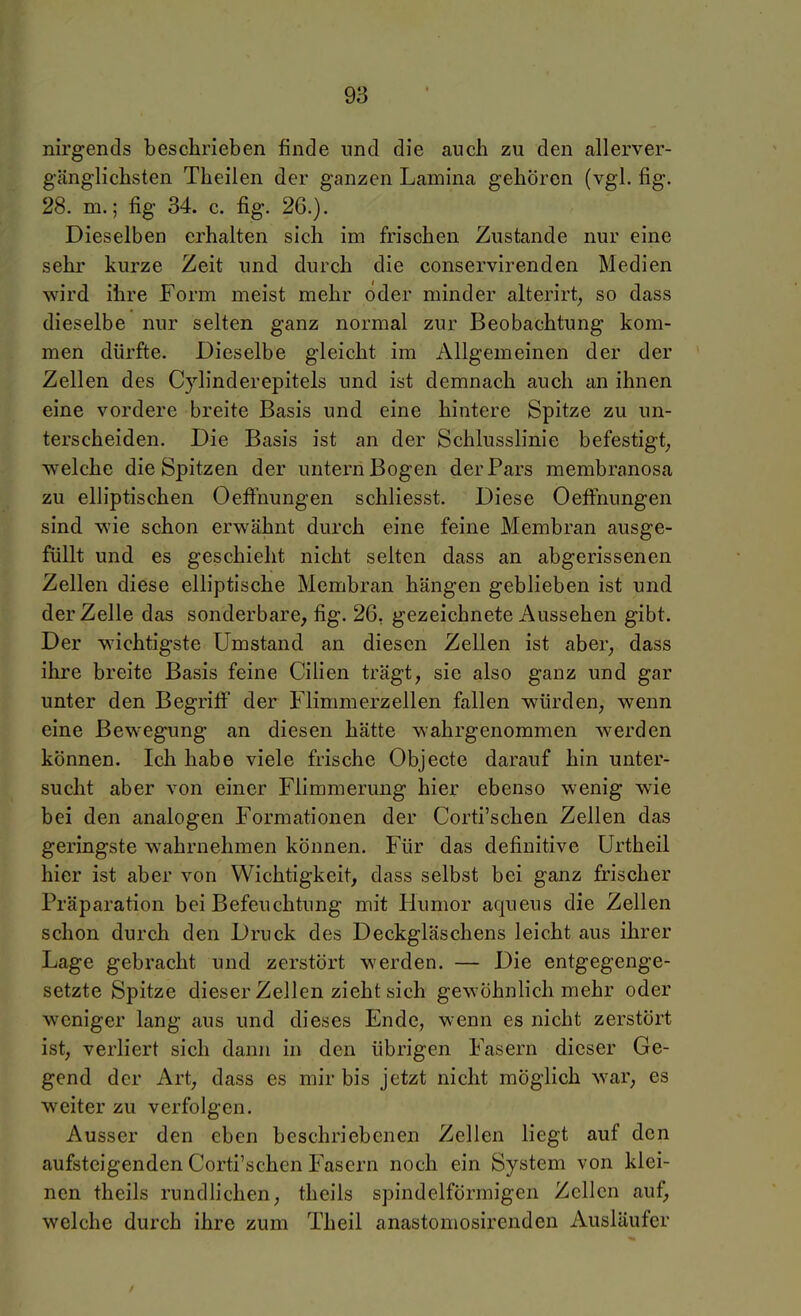 nirgends beschrieben finde und die auch zu den allerver- gänglichsten Theilen der ganzen Lamina gehören (vgl. fig. 28. m.; fig 34. c. fig. 26.). Dieselben erhalten sich im frischen Zustande nur eine sehr kurze Zeit und durch die conservirenden Medien wird ihre Form meist mehr oder minder alterirt^ so dass dieselbe nur selten ganz normal zur Beobachtung kom- men dürfte. Dieselbe gleicht im Allgemeinen der der Zellen des Cylinderepitels und ist demnach auch an ihnen eine vordere breite Basis und eine hintere Spitze zu un- terscheiden. Die Basis ist an der Schlusslinie befestigt^ welche die Spitzen der untern Bogen der Pars membranosa zu elliptischen Oeffnungen schliesst. Diese Oeffnungen sind wie schon erwähnt durch eine feine Membran ausge- füllt und es geschieht nicht selten dass an abgerissenen Zellen diese elliptische Membran hängen geblieben ist und der Zelle das sonderbare, fig. 26, gezeichnete Aussehen gibt. Der wichtigste Umstand an diesen Zellen ist aber^ dass ihre breite Basis feine Cilien trägt, sie also ganz und gar unter den Begriff der Flimmerzellen fallen würden, wenn eine Bewegung an diesen hätte wahrgenommen werden können. Ich habe viele frische Objecte darauf hin unter- sucht aber v^on einer Flimmerung hier ebenso wenig wie bei den analogen Formationen der Corti'schen Zellen das geringste wahrnehmen können. Für das definitive Urtheil hier ist aber von Wichtigkeit, dass selbst bei ganz frischer Präparation bei Befeuchtung mit Humor aqueus die Zellen schon durch den Druck des Deckgläschens leicht aus ihrer Lage gebracht und zerstört werden. — Die entgegenge- setzte Spitze dieser Zellen zieht sich gewöhnlich mehr oder weniger lang aus und dieses Ende, wenn es nicht zerstört ist, verliert sich dann in den übrigen Fasern dieser Ge- gend der Art, dass es mir bis jetzt nicht möglich war, es weiter zu verfolgen. Ausser den eben beschriebenen Zellen liegt auf den aufsteigenden Corti'schen Fasern noch ein System von klei- nen theils rundlichen, theiis spindelförmigen Zellen auf, welche durch ihre zum Theil anastomosirenden Ausläufer