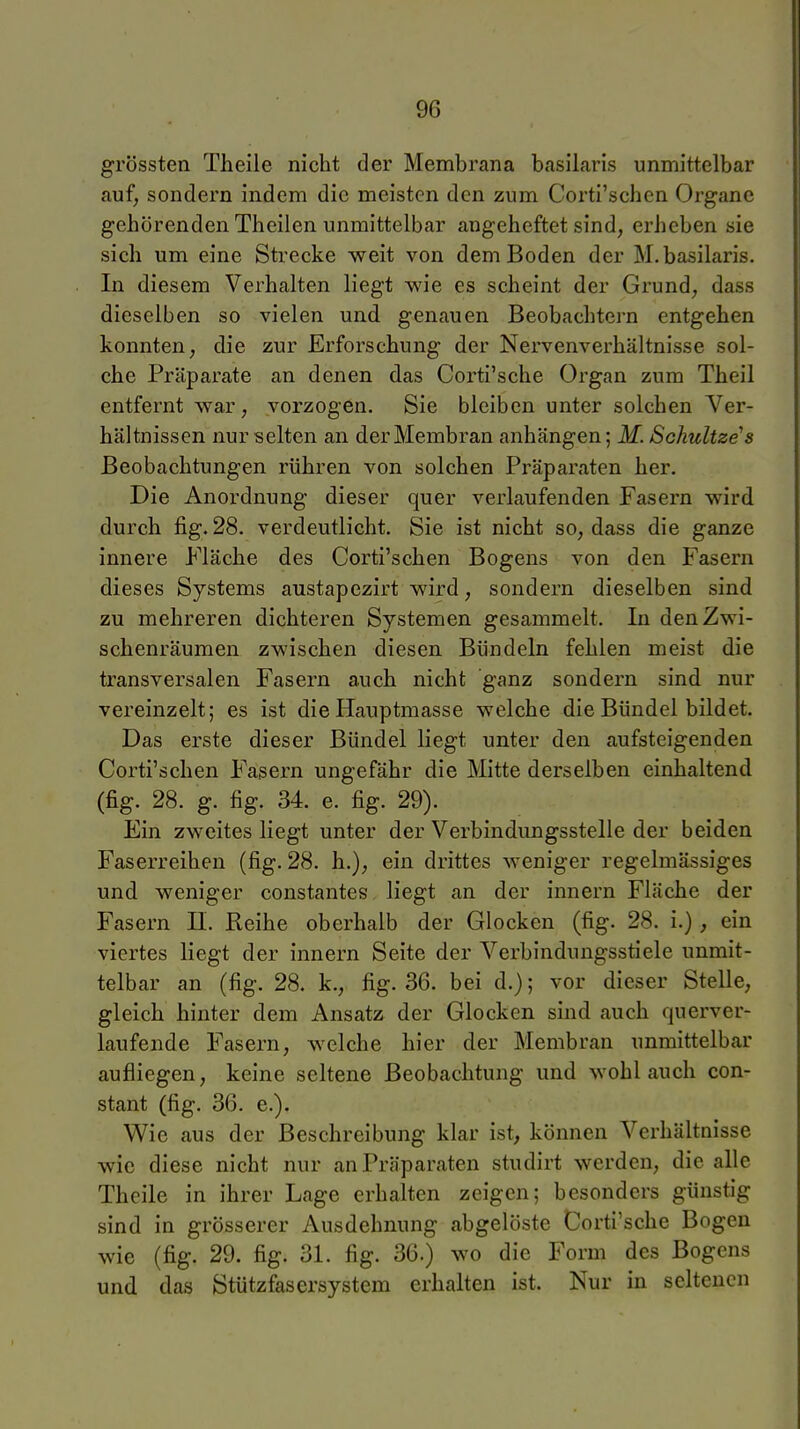 grössten Theile nicht der Membrana basilcaris unmittelbar auf, sondern indem die meisten den zum Corti'schen Organe gehörenden Theilen unmittelbar angeheftet sind, erheben sie sich um eine Strecke weit von dem Boden der M.basilaris. In diesem Verhalten liegt wie es scheint der Grund, dass dieselben so vielen und genauen Beobachtern entgehen konnten, die zur Erforschung der Nervenverhältnisse sol- che Präparate an denen das Corti'sche Organ zum Theil entfernt war, vorzogen. Sie bleiben unter solchen Ver- hältnissen nur selten an der Membran anhängen; M. Schnitze s Beobachtungen rühren von solchen Präparaten her. Die Anordnung dieser quer verlaufenden Fasern wird durch fig. 28. verdeutlicht. Sie ist nicht so, dass die ganze innere Fläche des Corti'schen Bogens von den Fasern dieses Systems austapezirt wird, sondern dieselben sind zu mehreren dichteren Systemen gesammelt. In den Zwi- schenräumen zwischen diesen Bündeln fehlen meist die transversalen Fasern auch nicht ganz sondern sind nur vereinzelt; es ist die Hauptmasse welche die Bündel bildet. Das erste dieser Bündel liegt unter den aufsteigenden Corti'schen Fasern ungefähr die Mitte derselben einhaltend (fig. 28. g. fig. 34. e. fig. 29). Ein zweites liegt unter der Verbindungsstelle der beiden Faserreihen (fig. 28. h.), ein drittes weniger regelmässiges und weniger constantes liegt an der innern Fläche der Fasern II. Reihe oberhalb der Glocken (fig. 28. i.), ein viertes liegt der innern Seite der Verbindungsstiele unmit- telbar an (fig. 28. k., fig. 36. bei d.); vor dieser Stelle, gleich hinter dem Ansatz der Glocken sind auch querver- laufende Fasern, welche hier der Membran unmittelbar aufliegen, keine seltene Beobachtung und wohl auch con- stant (fig. 36. e.). Wie aus der Beschreibung klar ist, können Verhältnisse wie diese nicht nur an Präparaten studirt werden, die alle Theile in ihrer Lage erhalten zeigen; besonders günstig sind in grösserer Ausdehnung abgelöste Corti'sche Bogen wie (fig. 29. fig. 31. fig. 36.) wo die Form des Bogens und das Stützfasersystem erhalten ist. Nur in seltenen