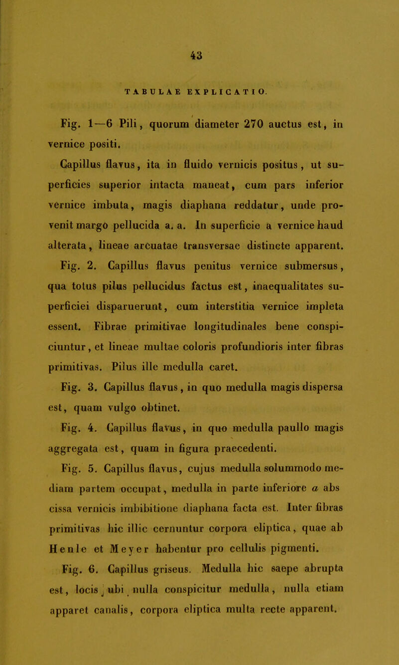 TABULAE EXPLICATIO. I Fig. 1—6 Pili, quorum diameter 270 auctus est, in vernice positi. Capillus flaTus, ita in fluido vernicis positus , ut su- perficies superior intacta maneat, cum pars inferior vernice imbuta, magis diaphana reddatur, unde pro- venit margo pellucida a. a. In superficie a vernice haud alterata, lineae arcuatae transversae distincte apparent. Fig. 2. Capillus flavus penitus vernice submersus, qua totus pilus pellucidus factus est, inaequalitates su- perficiei disparuerunt, cum interstitia vernice impleta essent. Fibrae primitivae longitudinales bene conspi- ciuntur , et lineae mullae coloris profundioris inter fibras primitivas. Pilus ille medulla caret. Fig. 3. Capillus flavus , in quo medulla magis dispersa est, quam vulgo obtinet. Fig. 4. Capillus flavus, in quo medulla paullo magis aggregata est, quam in figura praecedenti. Fig. 5. Capillus flavus, cujus medulla solummodo me- diam partem occupat, medulla in parte inferiore a abs cissa vernicis imbibitione diaphana facta est. Inter fibras primitivas hic illic cernuntur corpora eliptica, quae ab Henle et Meyer habentur pro cellulis pigmenti. Fig. 6. Capillus griseus. Medulla hic saepe abrupta est, locis j ubi nulla conspicitur medulla, nulla etiam apparet canalis, corpora eliptica multa recte apparent.