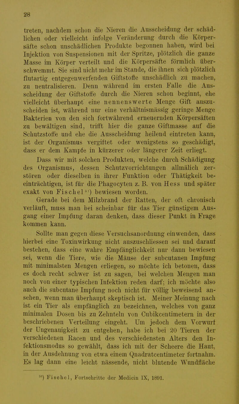 treten, nachdem schon die Nieren die Ausscheidung der schäd- lichen oder vielleicht infolge Veränderung durch die Körper- säfte schon unschädlichen Produkte begonnen haben, wird bei Injektion von Suspensionen mit der Spritze, plötzlich die ganze .Masse im Körper verteilt und die Körpersäfte förmlich über- schwemmt. Sie sind nicht mehr im Stande, die ihnen sich plötzlich flutartig entgegen werfenden Giftstoffe unschädlich zu machen, zu neutralisieren. Denn während im ersten Falle die Aus- scheidung der Giftstoffe durch die Nieren schon beginnt, ehe vielleicht überhaupt eine nennenswerte Menge Gift auszu- scheiden ist, während nur eine verhältnismässig geringe Menge Bakterien von den sich fortwährend erneuernden Körpersäften zu bewältigen sind, trifft hier die ganze Giftmasse auf die Schutzstoffe und ehe die Ausscheidung heilend eintreten kann, ist der Organismus vergiftet oder wenigstens so geschädigt, dass er dem Kampfe in kürzerer oder längerer Zeit erliegt. Dass wir mit solchen Produkten, welche durch Schädigung des Organismus, dessen Schutzvorrichtungen allmälich zer- stören oder dieselben in ihrer Funktion oder Thätigkeit be- einträchtigen, ist für die Phagocyten z. B. von Hess und später exakt von Fischel51) bewiesen worden. Gerade bei dem Milzbrand der Ratten, der oft chronisch verläuft, muss man bei scheinbar für das Tier günstigem Aus- gang einer Impfung daran denken, dass dieser Punkt in Frage kommen kann. Sollte man gegen diese Versuchsanordnung einwenden, dass hierbei eine Toxinwirkung nicht auszuschliessen sei und darauf bestehen, dass eine wahre Empfänglichkeit nur dann bewiesen sei, wenn die Tiere, wie die Mäuse der subcutanen Impfung mit minimalsten Mengen erliegen, so möchte ich betonen, dass es doch recht schwer ist zu sagen, bei welchen Mengen man noch von einer typischen Infektion reden darf; ich möchte also auch die subcutane Impfung noch nicht für völlig beweisend an- sehen, wenn man überhaupt skeptisch ist. Meiner Meinung nach ist ein Tier als empfänglich zu bezeichnen, welches von ganz minimalen Dosen bis zu Zehnteln von Cubikcentimetern in der beschriebenen Verteilung eingeht. Um jedoch dem Vorwurf der Ungenauigkeit zu entgehen, habe ich bei 20 Tieren der verschiedenen Eacen und des verschiedensten Alters den In- fektionsmodus so gewählt, dass ich mit der Scheere die Haut, in der Ausdehnung von etwa einem Qnadratcentimeter fortnahm. Es lag dann eine leicht nässende, nicht blutende Wundfläche 5I) Fischel, Fortschritte der Medicin IX, 1801.