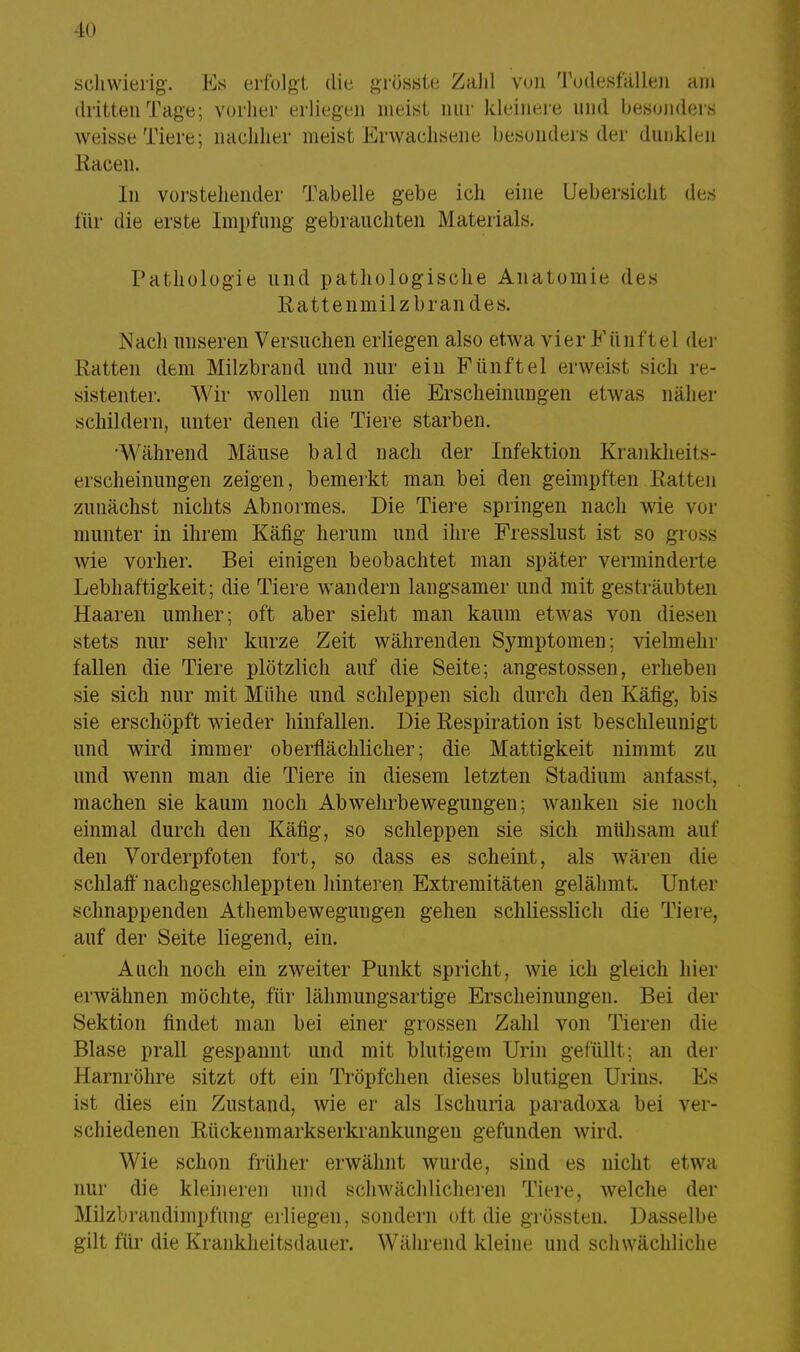 Kl schwierig. Es erfolgt die grösste Zahl von Todesfällen am dritten Tage; vorher erliegen nieist nur kleinere und besonders weisse Tiere; nachher meist Erwachsene besonders der dunklen Racen. In vorstehender Tabelle gebe ich eine Uebersicht des für die erste Impfung gebrauchten Materials. Pathologie und pathologische Anatomie des Rattenmilz bran des. Nach unseren Versuchen erliegen also etwa vier Fünftel der Ratten dem Milzbrand und nur ein Fünftel erweist, sich re- sistenter. Wir wollen nun die Erscheinungen etwas näher schildern, unter denen die Tiere starben. •Während Mäuse bald nach der Infektion Krankheits- erscheinungen zeigen, bemerkt man bei den geimpften.Ratten zunächst nichts Abnormes. Die Tiere springen nach wie vor munter in ihrem Käfig herum und ihre Fresslust ist so gross wie vorher. Bei einigen beobachtet man später verminderte Lebhaftigkeit; die Tiere wandern langsamer und mit gesträubten Haaren umher; oft aber sieht man kaum etwas von diesen stets nur sehr kurze Zeit währenden Symptomen; vielmehr fallen die Tiere plötzlich auf die Seite; angestossen, erheben sie sich nur mit Mühe und schleppen sich durch den Käfig, bis sie erschöpft wieder hinfallen. Die Respiration ist beschleunigt und wird immer oberflächlicher; die Mattigkeit nimmt zu und wenn man die Tiere in diesem letzten Stadium anfasst, machen sie kaum noch Abwehrbewegungen; wanken sie noch einmal durch den Käfig, so schleppen sie sich mühsam auf den Vorderpfoten fort, so dass es scheint, als wären die schlaft' nachgeschleppten hinteren Extremitäten gelähmt. Unter schnappenden Athembewegungen gehen schliesslich die Tiere, auf der Seite liegend, ein. Auch noch ein zweiter Punkt spricht, wie ich gleich hier erwähnen möchte, für lälimungsartige Erscheinungen. Bei der Sektion findet man bei einer grossen Zahl von Tieren die Blase prall gespannt und mit blutigem Urin gefüllt; an der Harnröhre sitzt oft ein Tröpfchen dieses blutigen Urins. Es ist dies ein Zustand, wie er als lschuria paradoxa bei ver- schiedenen Rückenmarkserkrankungen gefunden wird. Wie schon früher erwähnt wurde, sind es nicht etwa nur die kleineren und schwächlicheren Tiere, welche der Milzbrandimpfung erliegen, sondern oft die grössten. Dasselbe gilt für die Krankheitsdauer. Während kleine und schwächliche