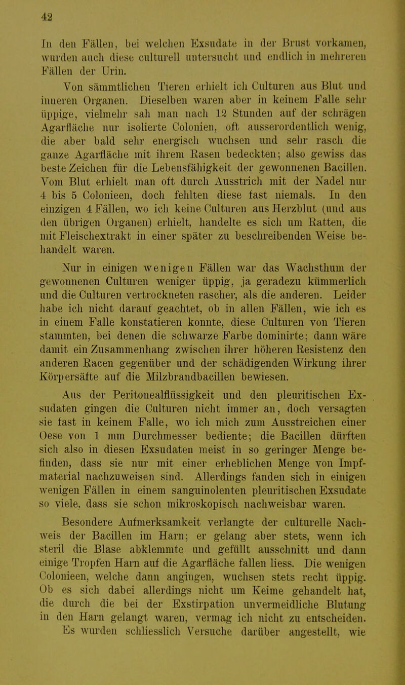 Ju den Fällen, bei welchen Exsudate in der Brust vorkamen, wurden auch diese culturell untersucht und endlich in mehreren Fällen der Urin. Von sämmtlichen Tieren erhielt ich Culturen aus Blut und inneren Organen. Dieselben waren aber in keinem Falle sein üppige, vielmehr sah man nach 12 Stunden auf der schrägen Agarfiäche nur isolierte Colonien, oft ausserordentlich wenig, die aber bald sehr energisch wuchsen und sehr rasch die ganze Agarfiäche mit ihrem Rasen bedeckten; also gewiss das beste Zeichen für die Lebensfähigkeit der gewonnenen Bacillen. Vom Blut erhielt man oft durch Ausstrich mit der Nadel nur 4 bis 5 Colonieen, doch fehlten diese fast niemals. In den einzigen 4 Fällen, wo icli keine Culturen aus Herzblut (und aus den übrigen Organen) erhielt, handelte es sich um Ratten, die mit Fleischextrakt in einer später zu beschreibenden Weise be- handelt waren. Nur in einigen wenigen Fällen war das Wachsthum der gewonnenen Culturen weniger üppig, ja geradezu kümmerlich und die Culturen vertrockneten rascher, als die anderen. Leider habe ich nicht darauf geachtet, ob in allen Fällen, wie ich es in einem Falle konstatieren konnte, diese Culturen von Tieren stammten, bei denen die schwarze Farbe dominirte; dann wäre damit ein Zusammenhang zwischen ihrer höheren Resistenz den anderen Racen gegenüber und der schädigenden Wirkung ihrer Körpersäfte auf die Milzbrandbacillen bewiesen. Aus der Peritonealflüssigkeit und den pleuritischen Ex- sudaten gingen die Culturen nicht immer an, doch versagten sie fast in keinem Falle, wo ich mich zum Ausstreichen einer Oese von 1 mm Durchmesser bediente; die Bacillen dürften sich also in diesen Exsudaten meist in so geringer Menge be- finden, dass sie nur mit einer erheblichen Menge von Impf- material nachzuweisen sind. Allerdings fanden sich in einigen wenigen Fällen in einem sanguinolenten pleuritischen Exsudate so viele, dass sie schon mikroskopisch nachweisbar waren. Besondere Aufmerksamkeit verlangte der culturelle Nach- weis der Bacillen im Harn; er gelang aber stets, wenn ich steril die Blase abklemmte und gefüllt ausschnitt und dann einige Tropfen Harn auf die Agarfiäche fallen Hess. Die wenigen Colonieen, welche dann angingen, wuchsen stets recht üppig. Ob es sich dabei allerdings nicht um Keime gehandelt hat, die durch die bei der Exstirpation unvermeidliche Blutung in den Harn gelangt waren, vermag icli nicht zu entscheiden. Es wurden schliesslich Versuche darüber angestellt, wie