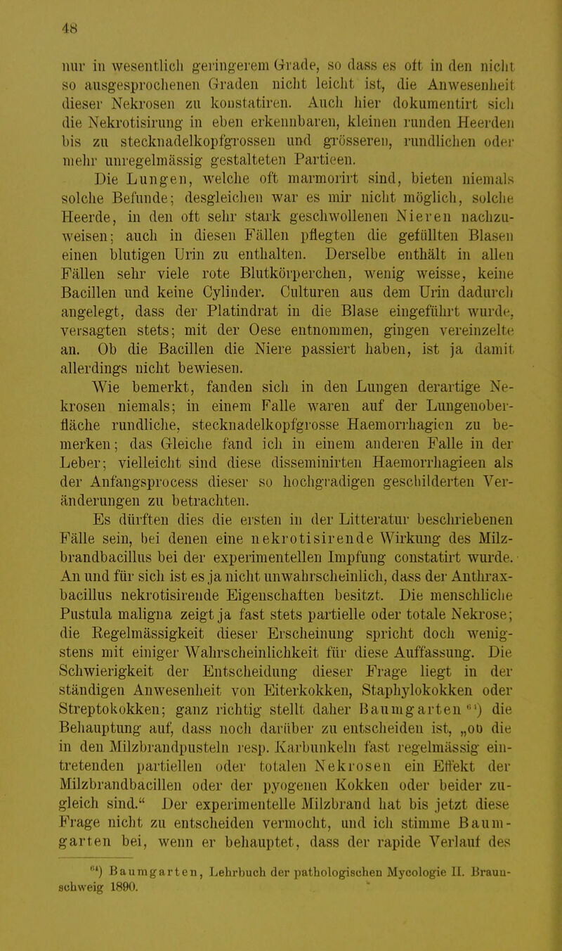 nur in wesentlich geringerem Grade, so dass es oft in den nicht so ausgesprochenen Graden nicht leicht ist, die Anwesenheit dieser Nekrosen zu koustatiren. Auch liier dokumentirt sich die Nekrotisirung in eben erkennbaren, kleinen runden Heelden bis zu stecknadelkopfgrossen und grösseren, rundlichen oder mehr unregelmässig gestalteten Partieen. Die Lungen, welche oft marmorirt sind, bieten niemals solche Befunde; desgleichen war es mir nicht möglich, solche Heerde, in den oft sehr stark geschwollenen Nieren nachzu- weisen; auch in diesen Fällen pflegten die gefüllten Blasen einen blutigen Urin zu enthalten. Derselbe enthält in allen Fällen sehr viele rote Blutkörperchen, wenig weisse, keine Bacillen und keine Cylinder. Culturen aus dem Urin dadurch angelegt, dass der Platindrat in die Blase eingeführt wurde, versagten stets; mit der Oese entnommen, gingen vereinzelte an. Ob die Bacillen die Niere passiert haben, ist ja damit allerdings nicht bewiesen. Wie bemerkt, fanden sich in den Lungen derartige Ne- krosen niemals; in einem Falle waren auf der Lungenober- fläche rundliche, stecknadelkopfgrosse Haemorrhagicn zu be- merken; das Gleiche fand ich in einem anderen Falle in der Leber; vielleicht sind diese disseminirten Haemorrhagieen als der Anfangsprocess dieser so hochgradigen geschilderten Ver- änderungen zu betrachten. Es dürften dies die ersten in der Litteratur beschriebenen Fälle sein, bei denen eine nekrotisirende Wirkung des Milz- brandbacillus bei der experimentellen Impfung constatirt wurde. An und für sich ist es ja nicht unwahrscheinlich, dass der Anthrax- bacillus nekrotisirende Eigenschaften besitzt. Die menschliche Pustula maligna zeigt ja fast stets partielle oder totale Nekrose; die Regelmässigkeit dieser Erscheinung spricht doch wenig- stens mit einiger Wahrscheinlichkeit für diese Auffassung. Die Schwierigkeit der Entscheidung dieser Frage liegt in der ständigen Anwesenheit von Eiterkokken, Staphylokokken oder Streptokokken; ganz richtig stellt daher Bau mg artendie Behauptung auf, dass noch darüber zu entscheiden ist, „oo die in den Milzbrandpusteln resp. Karbunkeln fast regelmässig ein- tretenden partiellen oder totalen Nekrosen ein Effekt der Milzbrandbacillen oder der pyogenen Kokken oder beider zu- gleich sind. Der experimentelle Milzbrand hat bis jetzt diese Frage nicht zu entscheiden vermocht, und ich stimme ßaiim- garten bei, wenn er behauptet, dass der rapide Verlauf des 61) Baumgarten, Lehrbuch der pathologischen Mycologie II. Brauu- schweig 1890.