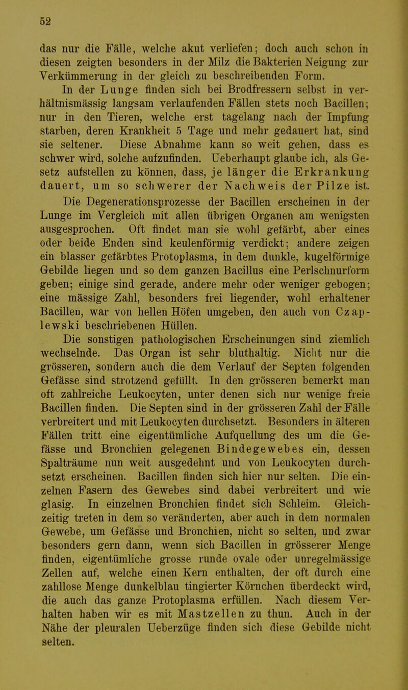 das nur die Fälle, welche akut verliefen; doch auch schon in diesen zeigten besonders in der Milz die Bakterien Neigung zur Verkümmerung in der gleich zu beschreibenden Form. In der Lunge finden sich bei Brodfressern selbst in ver- hältnismässig langsam verlaufenden Fällen stets noch Bacillen; nur in den Tieren, welche erst tagelang nach der Impfung starben, deren Krankheit 5 Tage und mehr gedauert hat, sind sie seltener. Diese Abnahme kann so weit gehen, dass es schwer wird, solche aufzufinden. Ueberhaupt glaube ich, als Ge- setz aufstellen zu können, dass, je länger die Erkrankung dauert, um so schwerer der Nachweis der Pilze ist. Die Degenerationsprozesse der Bacillen erscheinen in der Lunge im Vergleich mit allen übrigen Organen am wenigsten ausgesprochen. Oft findet man sie wohl gefärbt, aber eines oder beide Enden sind keulenförmig verdickt; andere zeigen ein blasser gefärbtes Protoplasma, in dem dunkle, kugelförmige Gebilde liegen und so dem ganzen Bacillus eine Perlschnurform geben; einige sind gerade, andere mehr oder weniger gebogen; eine mässige Zahl, besonders frei liegender, wohl erhaltener Bacilleo, war von hellen Höfen umgeben, den auch von Czap- lewski beschriebenen Hüllen. Die sonstigen pathologischen Erscheinungen sind ziemlich wechselnde. Das Organ ist sehr bluthaltig. Nicht nur die grösseren, sondern auch die dem Verlauf der Septen folgenden Gefässe sind strotzend gefüllt. In den grösseren bemerkt man oft zahlreiche Leukocyten, unter denen sich nur wenige freie Bacillen finden. Die Septen sind in der grösseren Zahl der Fälle verbreitert und mit Leukocyten durchsetzt. Besonders in älteren Fällen tritt eine eigentümliche Aufquellung des um die Ge- fässe und Bronchien gelegenen Bindegewebes ein, dessen Spalträume nun weit ausgedehnt und von Leukocyten durch- setzt erscheinen. Bacillen finden sich hier nur selten. Die ein- zelnen Fasern des Gewebes sind dabei verbreitert und wie glasig. In einzelnen Bronchien findet sich Schleim. Gleich- zeitig treten in dem so veränderten, aber auch in dem normalen Gewebe, um Gefässe und Bronchien, nicht so selten, und zwar besonders gern dann, wenn sich Bacillen in grösserer Menge finden, eigentümliche grosse runde ovale oder unregelmässige Zellen auf, welche einen Kern enthalten, der oft durch eine zahllose Menge dunkelblau fingierter Körnchen überdeckt wird, die auch das ganze Protoplasma erfüllen. Nach diesem Ver- halten haben wir es mit Mastzellen zu thun. Auch in der Nähe der pleuralen Ueberzüge finden sich diese Gebilde nicht selten.