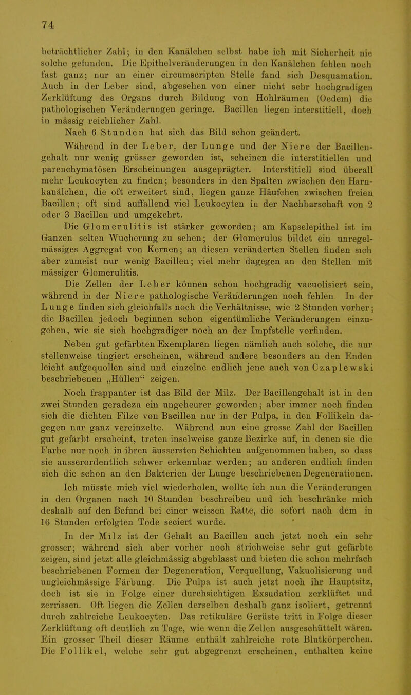 beträchtlicher Zahl; iu den Kanälchen selbst habe ich mit Sicherheit nie solche gefunden. Die Epithelveränderungeu in den Kanälchen fehlen noch fast ganz; nur an einer circumscripten Stelle fand sich Desquamation. Auch in der Leber sind, abgesehen von einer nicht sehr hochgradigen Zerklüftung des Organs durch Bildung von Hohlräumen ((Jedem) die pathologischen Veränderungen geringe. Bacillen liegen interstitiell, doch in mässig reichlicher Zahl. Nach 6 Stunden hat sich das Bild schon geändert. Während in der Leber, der Lunge und der Niere der Bacillcu- gehalt nur wenig grösser geworden ist, scheinen die interstitiellen und parenchymatösen Erscheinungen ausgeprägtei1. Interstitiell sind überall mehr Leukocyten zu finden; besonders in den Spalten zwischen den Haru- kanälchen, die oft erweitert sind, liegen ganze Häufchen zwischen freien Bacillen; oft sind auffallend viel Leukocyten iu der Nachbarschaft von 2 oder 3 Bacillen und umgekehrt. Die Glomerulitis ist stärker geworden; am Kapselepithel ist im Ganzen selten Wucherung zu sehen; der Glomerulus bildet ein uuregel- mässiges Aggregat von Kernen; an diesen veränderten Stellen finden sich aber zumeist nur wenig Bacillen; viel mehr dagegen an den Stellen mit massiger Glomerulitis. Die Zellen der Leber können schon hochgradig vaeuolisiert sein, während in der Niere pathologische Veränderungen noch fehlen In der Lunge finden sich gleichfalls noch die Verhältnisse, wie 2 Stunden vorher; die Bacillen jedoch beginnen schon eigentümliche Veränderungen einzu- gehen, wie sie sich hochgradiger noch an der Impfstelle vorfinden. Neben gut gefärbten Exemplaren liegen nämlich auch solche, die nur stellenweise tingiert erscheinen, während andere besonders au den Enden leicht aufgequollen sind und einzelne endlich jene auch von Czaplewski beschriebenen „Hüllen zeigen. Noch frappanter ist das Bild der Milz. Der Bacillengehalt ist in den zwei Stunden geradezu ein ungeheurer geworden; aber immer noch finden sich die dichten Filze von Bacillen nur in der Pulpa, in den Follikeln da- gegen nur ganz vereinzelte. Während nun eine grosse Zahl der Bacillen gut gefärbt erscheint, treten inselweise ganze Bezirke auf, in denen sie die Farbe nur noch in ihren äussersten Schichten aufgenommen haben, so dass sie ausserordentlich schwer erkennbar werden; an anderen endlich finden sich die schon an den Bakterien der Lunge beschriebenen Degenerationen. Ich müsste mich viel wiederholen, wollte ich nun die Veränderungen in den Organen nach 10 Stunden beschreiben und ich beschränke mich deshalb auf den Befund bei einer weissen Ratte, die sofort nach dem in 16 Stunden erfolgten Tode seciert wurde. In der Milz ist der Gehalt an Bacillen auch jetzt noch ein sehr grosser; während sich aber vorher noch strichweise sehr gut gefärbte zeigen, sind jetzt alle gleichmässig abgeblasst und bieten die schon mehrfach beschriebenen Formen der Degeneration, Verquellung, Vakuolisierung uud uugleichmässige Färbung. Die Pulpa ist auch jetzt noch ihr Hauptsitz, doch ist sie in Folge einer durchsichtigen Exsudation zerklüftet und zerrissen. Oft liegen die Zellen derselben deshalb ganz isoliert, getrennt durch zahlreiche Leukocyten. Das retikuläre Gerüste tritt iu Folge dieser Zerklüftung oft deutlich zu Tage, wie wenn die Zellen ausgeschüttelt wären. Ein grosser Theil dieser Räume enthält zahlreiche rote Blutkörperchen. Die Follikel, welche sehr gut abgegrenzt erscheinen, enthalten keine