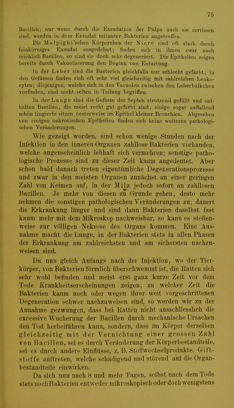 Bacillen; nur wenn durch die Exsudation der Pulpa auch sie zerrissen sind, werden in dem Exsudat mitunter Bakterien angetroffen. Die Malpighi'sehen Körperchen der Niere sind oft stark durch feinkörniges Exsudat ausgedehnt; finden sich in ihnen zwar noch reichlich Bacillen, so sind sie doch sehr degeneriert. Die Epithelien zeigen bereits durch Vakuolisierung den Beginn von Entartung. In der Leber sind die Bacterien gleichfalls nur schlecht gefärbt; in den Gefässen finden sich oft sehr viel gleichzeitig mit zahlreichen Leuko- cyten; diejenigen, welche sich in den Vacuolen zwischen den Leberbälkchen vorfinden, sind nicht selten in Teilung begriffen. In der Lunge sind die Gefässe der Septen strotzend gefüllt und ent- halten Bacillen, die meist recht gut gefärbt sind; einige sogar auffallend schön tingierte sitzen nesterweise im Epithel kleiner Bronchien. Abgesehen von einigen nekrotischen Epithelien finden sich keine weiteren pathologi- schen Veränderungen. Wie gezeigt worden, sind schon wenige Stunden nach der Infektion in den inneren Organen zahllose Bakterien vorhanden, welche augenscheinlich lebhaft sich vermehren; sonstige patho- logische Prozesse sind zu dieser Zeit kaum angedeutet. Aber schon bald danach treten eigentümliche Degenerationsprozesse und zwar in den meisten Organen zunächst an einer geringen Zahl von Keimen auf, in der Milz jedoch sofort an zahllosen Bacillen. Je mehr von diesen zu Grunde gehen, desto mehr nehmen die sonstigen pathologischen Veränderungen zu; dauert die Erkrankung länger und sind dann Bakterien daselbst fast kaum mehr mit dem Mikroskop nachweisbar, so kann es stellen- weise zur völligen Nekrose des Organs kommen. Eine Aus- nahme macht die Lunge, in der Bakterien stets in allen Phasen der Erkrankung am zahlreichsten und am sichersten nachzu- weisen sind. Da nun gleich Anfangs nach der Injektion, wo der Tier- körper, von Bakterien förmlich überschwemmt ist, die Ratten sich sehr wohl befinden und meist erst ganz kurze Zeit vor dem Tode Krankheitserscheinungen zeigen, zu welcher Zeit die Bakterien kaum noch oder wegen ihrer weit vorgeschrittenen Degeneration schwer nachzuweisen sind, so werden wir zu der Annahme gezwungen, dass bei Ratten nicht ausschliesslich die excessive Wucherung der Bacillen durch mechanische Ursachen den Tod herbeiführen kann, sondern, dass im Körper derselben gleichzeitig mit der Vernichtung einer grossen Zahl von Bacillen, sei es durch Veränderung der Körperbestandteile, sei es durch andere Einflüsse, z. B. Stoffwechselprodukte, Grift- stoffe auftreten, welche schädigend und störend auf die Organ- bestandteile einwirken. Da sich nun nach 8 und mehr Tagen, selbst nach dem Tode stet s noch Bakterien entweder mikroskopisch oder doch wenigstens