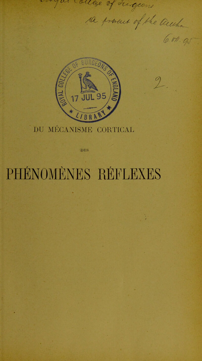 7 DU MECANISME CORTICAL DES PHÉNOMÈNES RÉFLEXES