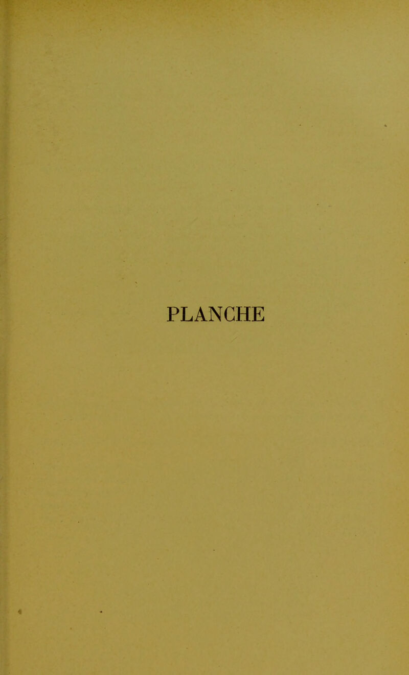 PLANCHE