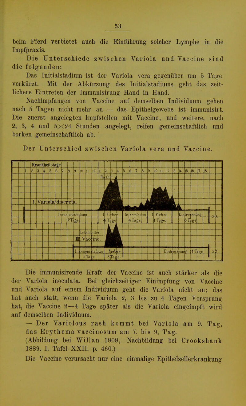 beim Pferd verbietet auch die Einführung solcher Lymphe in die Impfpraxis. Die Unterschiede zwischen Variola und Yaccine sind die folgenden: Das Initialstadium ist der Variola vera gegenüber um 5 Tage verkürzt. Mit der Abkürzung des Initialstadiums geht das zeit- lichere Eintreten der Immunisirung Hand in Hand. Nachimpfungen von Vaccine auf demselben Individuum gehen nach 5 Tagen nicht mehr an — das Epithelgewebe ist immunisirt. Die zuerst angelegten Impfstellen mit Vaccine, und weitere, nach 2, 3, 4 und 5X24 Stunden angelegt, reifen gemeinschaftlich und borken gemeinschaftlich ab. Der Unterschied zwischen Variola vera und Vaccine. Die immunisirende Kraft der Vaccine ist auch stärker als die der Variola inoculata. Bei gleichzeitiger Einimpfung von Vaccine und Variola auf einem Individuum geht die Variola nicht an; das hat auch statt, wenn die Variola 2, 3 bis zu 4 Tagen Vorsprung hat, die Vaccine 2—4 Tage später als die Variola eingeimpft wird auf demselben Individuum. — Der Variolous rash kommt bei Variola am 9. Tag, das Erythema vaccinosum am 7. bis 9. Tag. (Abbildung bei Will an 1808, Nachbildung bei Crookshank 1889. I. Tafel XXH. p. 460.) Die Vaccine verursacht nur eine einmalige Epithelzellerkrankung