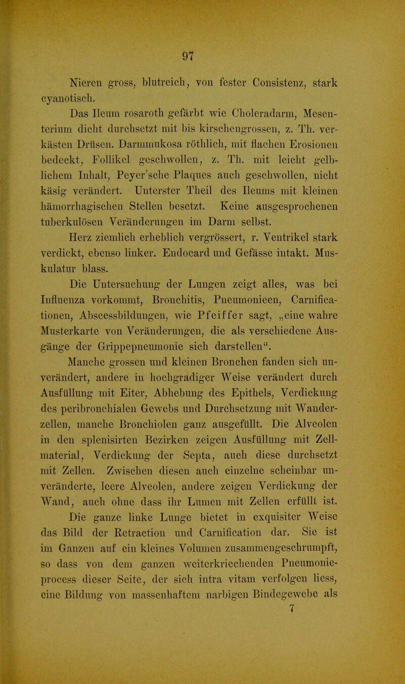 Nieren gross, blutreicli, von fester Consistenz, stark cyanotiscli. Das Ileum rosaroth gefärbt wie Choleradarm, Mesen- terium dicht durchsetzt mit bis kirschengrosseu, z. Th. ver- kästen Drüsen. Darmmukosa röthlich, mit flachen Erosionen bedeckt, Follikel geschwollen, z. Th. mit leicht gelb- lichem Inhalt, Peyer'sche Plaques auch geschwollen, nicht käsig verändert. Unterster Theil des Ileums mit kleinen hämorrhagischen Stellen besetzt. Keine ausgesprochenen tuberkulösen Veränderungen im Darm selbst. Herz ziemlich erheblich vergrössert, r. Ventrikel stark verdickt, ebenso linker. Endocard und Gefässe intakt. Mus- kulatur blass. Die Untersuchung der Lungen zeigt alles, was bei Influenza vorkommt, Bronchitis, Pneumonieen, Carnifica- tionen, Abscessbildüngen, wie Pfeiffer sagt, „eine wahre Musterkarte von Veränderungen, die als verschiedene Aus- gänge der Grippepneumonie sich darstellen. Manche grossen und kleinen Bronchen fanden sich un- verändert, andere in hochgradiger Weise verändert durch Ausfüllung mit Eiter, Abhebung des Epithels, Verdickung des peribronchialen Gewebs und Durchsetzung mit Wander- zellen, manche Bronchiolen ganz ausgefüllt. Die Alveolen in den splenisirten Bezirken zeigen Ausfüllung mit Zell- material, Verdickung der Septa, auch diese durchsetzt mit Zellen. Zwischen diesen auch einzelne scheinbar un- veränderte, leere Alveolen, andere zeigen Verdickung der Wand, auch ohne dass ihr Lumen mit Zellen erfüllt ist. Die ganze linke Lunge bietet in exquisiter Weise das Bild der Retraction und Carnification dar. Sie ist im Ganzen auf ein kleines Volumen zusammengeschrumpft, so dass von dem ganzen weiterkriechenden Pneumonie- process dieser Seite, der sich intra vitam verfolgen Hess, eine Bildung von massenhaftem narbigen Bindegewebe als 7