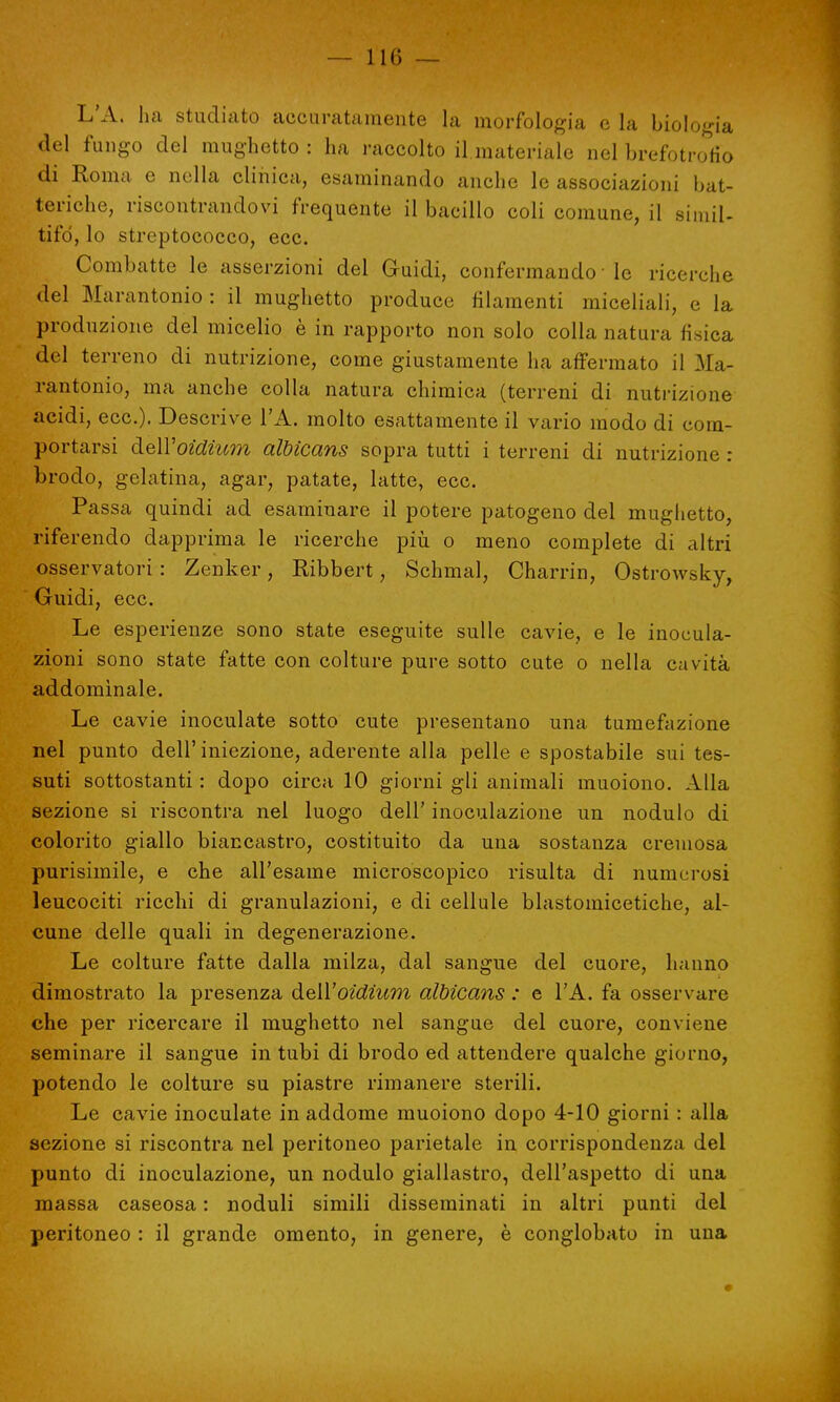 L'A. ha studiato accuratamente la morfologia e la biologia del fungo del mughetto : ha raccolto il materiale nel brefotrofio di Roma e nella clinica, esaminando anche le associazioni bat- teriche, riscontrandovi frequente il bacillo coli comune, il simil- tifò, lo streptococco, ecc. Combatte le asserzioni del Guidi, confermando ■ le ricerche del Marantonio: il mughetto produce filamenti miceliali, e la produzione del micelio è in rapporto non solo colla natura fisica del terreno di nutrizione, come giustamente ha affermato il Ma- rantonio, ma anche colla natura chimica (terreni di nutrizione acidi, ecc.). Descrive l'A. molto esattamente il vario modo di com- portarsi àeìYoidium àtbicans sopra tutti i terreni di nutrizione : brodo, gelatina, agar, patate, latte, ecc. Passa quindi ad esaminare il potere patogeno del mughetto, riferendo dapprima le ricerche più o meno complete di altri osservatori : Zenker, Ribbert, Schmal, Charrin, Ostrowsky, Guidi, ecc. Le esperienze sono state eseguite sulle cavie, e le inocula- zioni sono state fatte con colture pure sotto cute o nella cavità addominale. Le cavie inoculate sotto cute presentano una tumefazione nel punto dell'iniezione, aderente alla pelle e spostabile sui tes- suti sottostanti : dopo circa 10 giorni gli animali muoiono. Alla sezione si riscontra nel luogo dell' inoculazione un nodulo di colorito giallo biancastro, costituito da una sostanza creniosa purisiinile, e che all'esame microscopico risulta di numerosi leucociti ricchi di granulazioni, e di cellule blastomicetiche, al- cune delle quali in degenerazione. Le colture fatte dalla milza, dal sangue del cuore, hanno dimostrato la presenza deìì'oidium albicans : e l'A. fa osservare che per ricercare il mughetto nei sangue del cuore, conviene seminare il sangue in tubi di brodo ed attendere qualche giorno, potendo le colture su piastre rimanere sterili. Le cavie inoculate in addome muoiono dopo 4-10 giorni : alla sezione si riscontra nel peritoneo parietale in corrispondenza del punto di inoculazione, un nodulo giallastro, dell'aspetto di una massa caseosa : noduli simili disseminati in altri punti del peritoneo : il grande omento, in genere, è conglobato in una