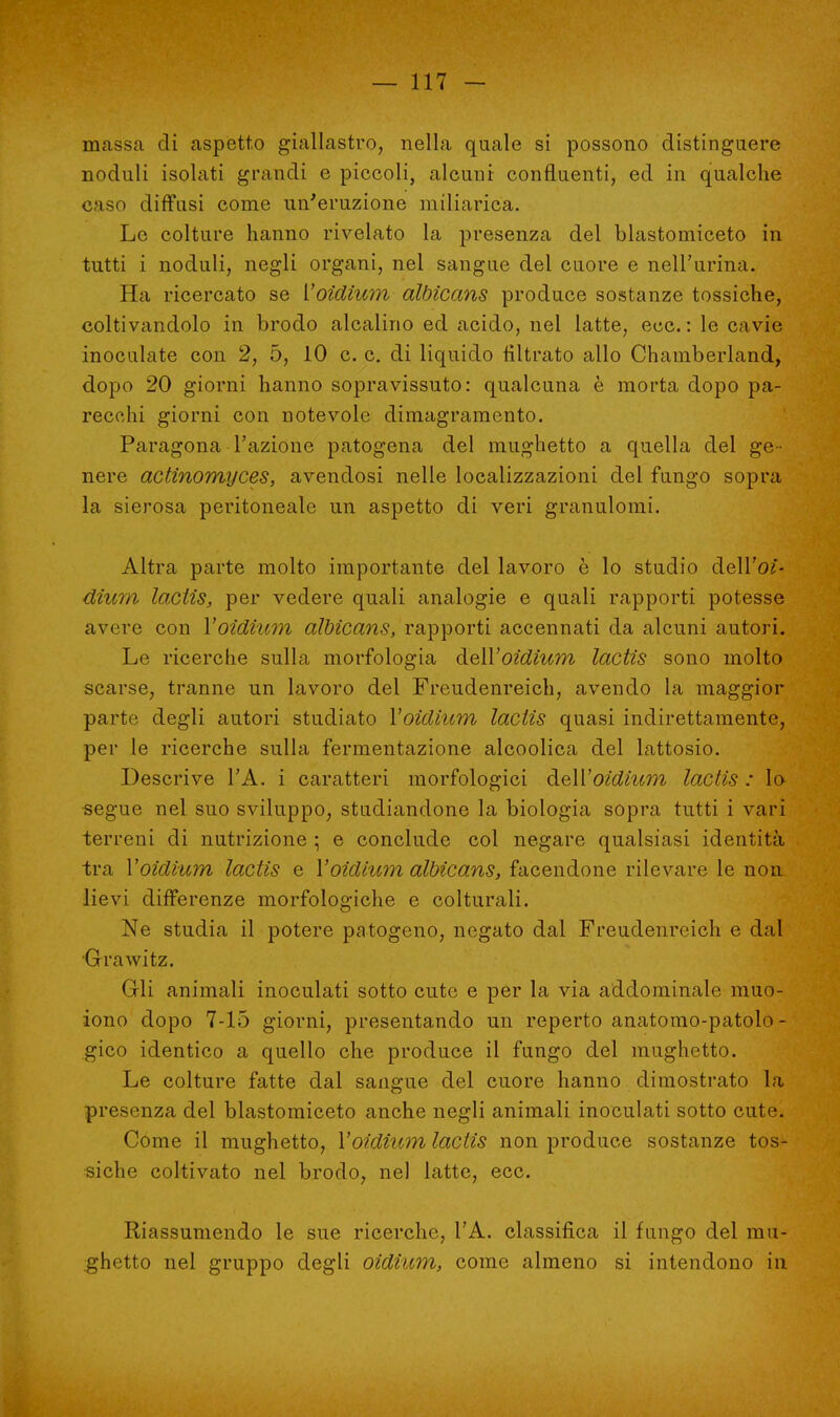 massa di aspetto giallastro, nella quale si possono distinguere noduli isolati grandi e piccoli, alcuni confluenti, ed in qualche caso diffusi come un'eruzione miliarica. Le colture hanno rivelato la presenza del blastomiceto in tutti i noduli, negli organi, nel sangue del cuore e nell'urina. Ha ricercato se Yoidium albìcans produce sostanze tossiche, coltivandolo in brodo alcalino ed acido, nel latte, ecc.: le cavie inoculate con 2, 5, 10 c. c. di liquido filtrato allo Chamberland, dopo 20 giorni hanno sopravissuto: qualcuna è morta dopo pa- recchi giorni con notevole dimagramento. Paragona l'azione patogena del mughetto a quella del ge- nere actinomyces, avendosi nelle localizzazioni del fungo sopra la sierosa peritoneale un aspetto di veri granulomi. Altra parte molto importante del lavoro è lo studio àeWoì- dium lactis, per vedere quali analogie e quali rapporti potesse avere con Yoidium albìcans, rapporti accennati da alcuni autori. Le ricerche sulla morfologia àe\Yoidiu?n lactis sono molto scarse, tranne un lavoro del Freudenreich, avendo la maggior parte degli autori studiato Yoidium lactis quasi indirettamente, per le ricerche sulla fermentazione alcoolica del lattosio. Descrive l'A. i caratteri morfologici àeìYoidium lactis : lo segue nel suo sviluppo, studiandone la biologia sopra tutti i vari terreni di nutrizione ; e conclude col negare qualsiasi identità tra Yoidium lactis e Yoidium albicans, facendone rilevare le non lievi differenze morfologiche e colturali. Ne studia il potere patogeno, negato dal Freudenreich e dal Grawitz. Gli animali inoculati sotto cute e per la via addominale muo- iono dopo 7-15 giorni, presentando un reperto anatomo-patolo - gico identico a quello che produce il fungo del mughetto. Le colture fatte dal sangue del cuore hanno dimostrato la presenza del blastomiceto anche negli animali inoculati sotto cute. Come il mughetto, Yoidium lactis non produce sostanze tos- siche coltivato nel brodo, nel latte, ecc. Riassumendo le sue ricerche, l'A. classifica il fungo del mu- ghetto nel gruppo degli oidium, come almeno si intendono in