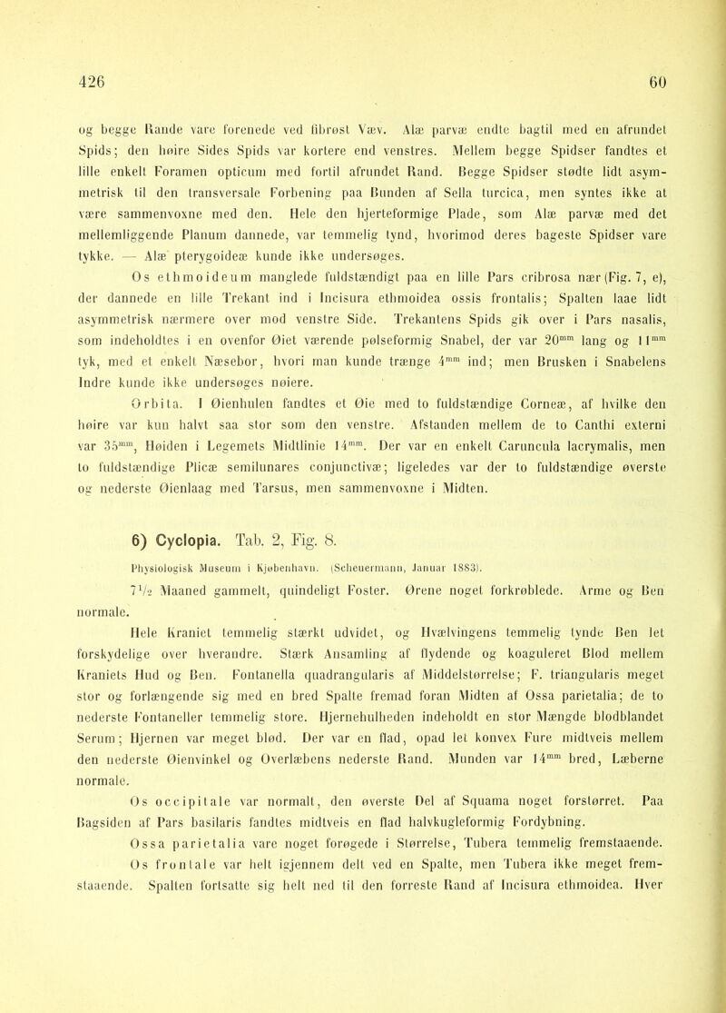 og begge Ramle vai'e forenede ved librøsl Væv. Alæ parvæ endte bagtil ined en afrundet Spids; den boire Sides Spids var kortere end Venstres. Mellem begge Spidser fandtes et lille enkelt Foramen opticum med fortil afrundet Rand. Begge Spidser stødte lidt asym- metrisk til den transversale Forbening paa Bunden af Sella turcica, men syntes ikke at være sammenvoxne med den. Hele den hjerteformige Plade, som Alæ parvæ med det mellemliggende Planum dannede, var temmelig tynd, hvorimod deres bageste Spidser vare tykke. — Alæ pterygoideæ kunde ikke undersøges. Os ethmoideum manglede fuldstændigt paa en lille Pars cribrosa nær(Fig. 7, e), der dannede en lille 'l’rekant ind i Incisura etbmoidea ossis frontalis; Spalten laae lidt asymmetrisk nærmere over mod venstre Side. Trekantens Spids gik over i Pars nasalis, som indeholdtes i en ovenfor Øiet værende pølseformig Snabel, der var 20“' lang og ll““ tyk, med et enkelt Næsebor, hvori man kunde trænge 4'“ ind; men Brusken i Snabelens Indre kunde ikke undersøges nøiere. Orbita. I Øienhulen fandtes et Øie med to fuldstændige Corneæ, af hvilke den høire var kun halvt saa stor som den venstre. Afstanden mellem de to Canthi extern! var 35““, Høiden i Legemets Midtlinie 14““. Der var en enkelt Caruncula lacrymalis, men to fuldstændige Plicæ semilunares conjunctivæ; ligeledes var der to fuldstændige øverste og nederste Øieniaag med Tarsus, men sammenvoxne i Alidten. 6) Cyclopia. Tab. 2, Tig. 8. Physiologisk Museum i Kjobeiihavii. (Sclieuermann, Januar 1883). 7V-_> Maaned gammelt, quindeligt Foster. Ørene noget forkrøblede. Arme og Ben normale. Hele Kraniet temmelig stærkt udvidet, og Hvælvingens temmelig tynde Ben let forskydelige over hverandre. Stærk Ansamling af flydende og koaguleret Blod mellem Kraniets Hud og Ben. Fontanella quadrangularis af Middelstørrelse; F. triangularis meget stor og forlængende sig med en bred Spalte fremad foran Midten at Ossa parietalia; de to nederste Fontaneller temmelig store. Hjernehulbeden indeholdt en stor iMængde hlodblandet Serum; Hjernen var meget blød. Der var en flad, opad let konvex Fure midtveis mellem den nederste Øienvinkel og Overlæbens nederste Rand. Munden var 14““ bred, Læberne normale. Os occipitale var normalt, den øverste Del af Squama noget forstørret. Paa Bagsiden af Pars basilaris fandtes midtveis en flad halvkugleformig Fordybning. Ossa parietalia vare noget forøgede i Størrelse, Tubera temmelig fremstaaende. Os frontale var helt igjennem delt ved en Spalte, men Tubera ikke meget frem- staaende. Spalten fortsatte sig helt ned til den forreste Rand af Incisura etbmoidea. Hver
