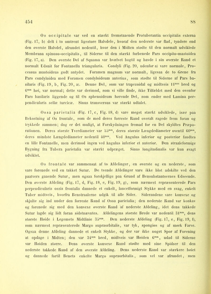Os occipitale var ved en stærkt fremstaaende Protuberantia occipitalis externa (Fig. 17, b) delt i to omtrent ligestore Halvdele, hvoraf den nederste var flad, tyndere end den øverste Halvdel, afrundet nedentil, hvor den i Midten stødte til den normalt udviklede Membrana spinoso-occipitaiis, til Siderne til den stærkt forbenede Pars occipito-mastoidea (Fig. 17, a). Den øverste Del af Squama var hvælvet bagtil og havde i sin øverste Rand et normalt Udsnit for Fontanella triangularis. Condyli (Fig. 20, udenfor a) vare normale. Pro- cessus mastoideus godt antydet. Foramen magnum var normalt, ligesaa de to Grene fra Pars condyloidea med Foramen condyloideum anterius, som stødte til Siderne af Pars ba- silaris (Fig. 19, b, Fig. 20, a). Denne Del, som var trapezoidal og midtveis 11““ bred og 6““ høi, var normal; dette var derimod, som vi ville finde, ikke Tilfældet med den ovenfor Pars basilaris liggende og til Os sphenoideum hørende Del, som ender med Lamina per- pendicularls sellæ turcicæ. Sinus transversus var stærkt udtalet. Ossa parietalia (Fig. 17, c, Fig. 18, d) vare meget stærkt udviklede, især paa Hekostning af Os frontale, som de med deres forreste Rand overalt ragede frem foran og trykkede sammen; dog er det muligt, at Forskydningen fremad for en Del skyldtes Præpa- rationen. Deres største Tverdiameter var 55““, deres største Længdediameter oventil 60““, deres mindste Længdediameter nedentil 40““. Ved Angulus inferior og posterior fandtes en lille Fontanelle, men derimod ingen ved Angulus inferior et anterior. Den straaleformige Bygning fra Tubera parietalia var stærkt udpræget. Sinus longitudinalis var kun svagt udviklet. Os frontale var sammensat af to Afdelinger, en øverste og en nederste, som vare forenede ved en takket Sutur. De tvende Afdelinger vare ikke blot adskilte ved den paatvers gaaende Sutur, men ogsaa forskjellige paa Grund af Bensubstantsernes Udseende. Den øverste Afdeling (Fig, 17, d, Fig. 18, e, Fig. 19, g), som nærmest repræsenterede Pars perpendicularis ossis frontalis dannede et enkelt, lancetformigt Stykke med en svag, enkelt Tuber midtveis, hvorfra Benstraalerne udgik til alle Sider. Siderandene vare konvexe og skjulte sig ind under den forreste Rand af Ossa parietalia; den nederste Rand var konkav og forenede sig med den konvexe øverste Rand af nederste Afdeling, idet dens takkede Sutur lagde sig lidt foran sidstnævntes. Afdelingens største Brede var nedentil 31““, dens største Høide i Legemets Midtlinie 35““. Den nederste Afdeling (Fig. 17, e, Fig. 19, f), som nærmest repræsenterede Margo supraorbitalis, var tyk, spongiøs og af mørk Farve. Ogsaa denne Afdeling dannede et enkelt Stykke, og der var ikke noget Spor af Forening at opdage i Midten; den var 34““ bred, midtveis var Høiden 6““, udad til Siderne var Høiden større. Dens øverste konvexe Rand stødte med sine Spidser til den nederste takkede Rand af den øverste Afdeling. Dens nederste Rand var stærkere bøiet og dannede fortil Benets enkelte Margo supraorbitalis, som vel var afrundet, men