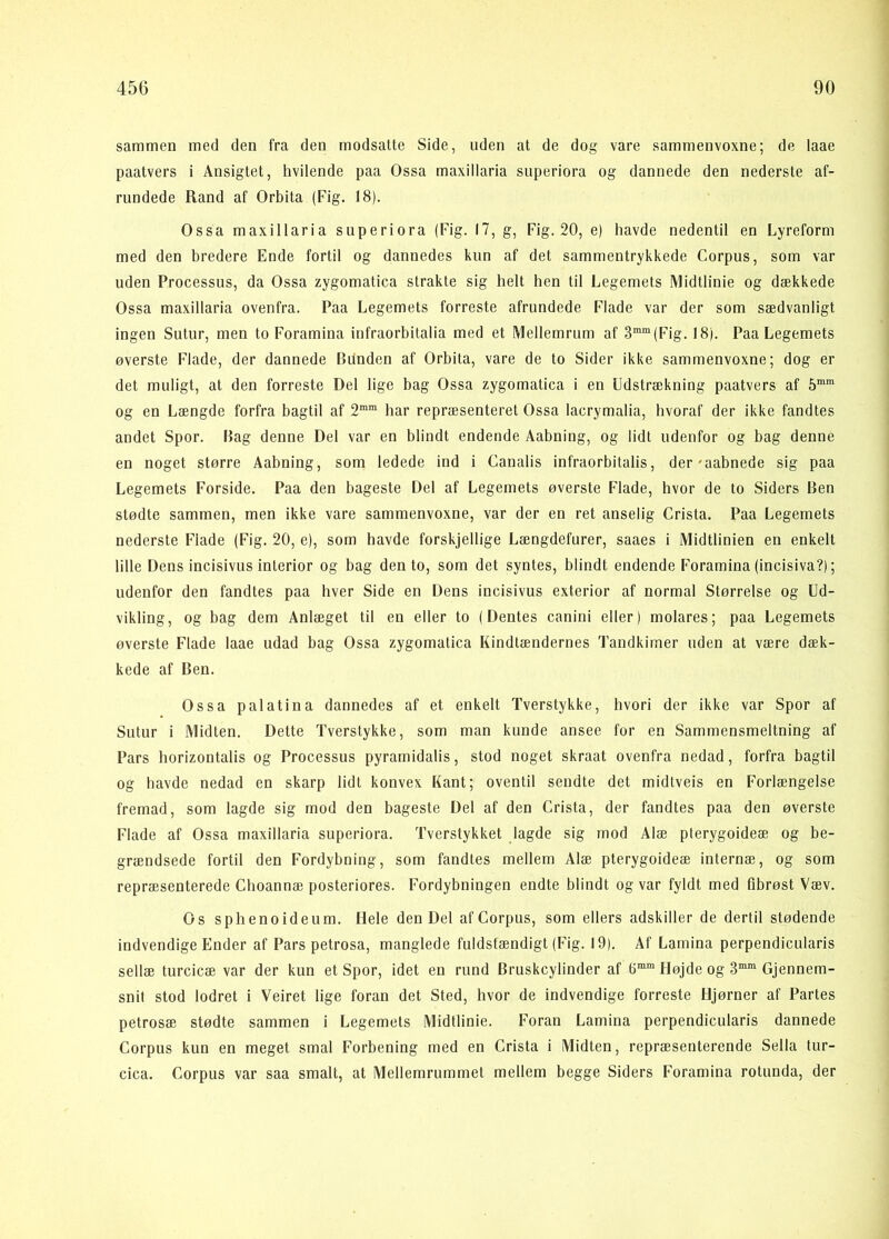 sammen med den fra den modsatte Side, uden at de dog vare sammenvoxne; de laae paatvers i Ansigtet, hvilende paa Ossa maxillaria superiora og dannede den nederste af- rundede Rand af Orbita (Fig. 18). Ossa maxillaria superiora (Fig. 17, g, Fig. 20, e) havde nedentil en Lyreform med den bredere Ende fortil og dannedes kun af det sammentrykkede Corpus, som var uden Processus, da Ossa zygomatica strakte sig helt hen til Legemets Midtlinie og dækkede Ossa maxillaria ovenfra. Paa Legemets forreste afrundede Flade var der som sædvanligt ingen Sutur, men to Foramina infraorbitalia med et Mellemrum af 3™“(Fig. 18). Paa Legemets øverste Flade, der dannede Bunden af Orbita, vare de to Sider ikke sammenvoxne; dog er det muligt, at den forreste Del lige bag Ossa zygomatica i en Udstrækning paatvers af og en Længde forfra bagtil af har repræsenteret Ossa lacrymalia, hvoraf der ikke fandtes andet Spor. Bag denne Del var en blindt endende Aabning, og lidt udenfor og bag denne en noget større Aabning, som ledede ind i Caualis infraorbitalis, der'aabnede sig paa Legemets Forside. Paa den bageste Del af Legemets øverste Flade, hvor de to Siders Ben stødte sammen, men ikke vare sammenvoxne, var der en ret anselig Crista. Paa Legemets nederste Flade (Fig. 20, e), som havde forskjellige Længdefurer, saaes i Midtlinien en enkelt lille Dens incisivus interior og bag den to, som det syntes, blindt endende Foramina (incisiva?); udenfor den fandtes paa hver Side en Dens incisivus exterior af normal Størrelse og Ud- vikling, og bag dem Anlæget til en eller to (Dentes canini eller) molares; paa Legemets øverste Flade laae udad bag Ossa zygomatica Kindtændernes Tandkimer uden at være dæk- kede af Ben. Ossa palatina dannedes af et enkelt Tverstykke, hvori der ikke var Spor af Sutur i Midten. Dette Tverstykke, som man kunde ansee for en Sammensmeltning af Pars borizontalis og Processus pyramidalis, stod noget skraat ovenfra nedad, forfra bagtil og havde nedad en skarp lidt konvex Kant; oventil sendte det midtveis en Forlængelse fremad, som lagde sig mod den bageste Del af den Crista, der fandtes paa den øverste Flade af Ossa maxillaria superiora. Tverstykket lagde sig mod Alæ pterygoideæ og be- grændsede fortil den Fordybning, som fandtes mellem Alæ pterygoideæ internæ, og som repræsenterede Choannæ posteriores. Fordybningen endte blindt og var fyldt med fibrøst Væv. Os sphenoideum. Hele den Del af Corpus, som ellers adskiller de dertil stødende indvendige Ender af Pars petrosa, manglede fuldstændigt (Fig. 19). Af Lamina perpendicularis sellæ turcicæ var der kun et Spor, idet en rund Bruskcylinder af 8”^ Højde og Gjennem- snit stod lodret i Veiret lige foran det Sted, hvor de indvendige forreste Hjørner af Partes petrosæ stødte sammen i Legemets Midtlinie. Foran Lamina perpendicularis dannede Corpus kun en meget smal Forbening med en Crista i Midten, repræsenterende Sella tur- cica. Corpus var saa smalt, at Mellemrummet mellem begge Siders Foramina rotunda, der