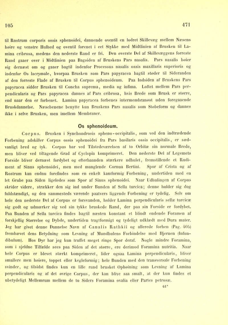 til Rostrum corporis ossis sphenoidei, dannende oventil en lodret Skillevæg mellem Næsens høire og venstre Hulhed og oventil forenet i eet Stykke med Midtlinien af Brusken til La- rnina cribrosa, medens den nederste Rand er fri. Den øverste Del af Skillevæggens forreste Rand gaaer over i Midtlinien paa Bagsiden af Bruskens Pars nasalis. Pars nasalis høier sig dernæst om og gaaer bagtil indenfor Processus nasalis ossis maxillaris superioris og indenfor Os lacrymale, hvorpaa Brusken som Pars papyracea bagtil støder til Sideranden af den forreste Flade af Brusken til Corpus spbenoideum. Paa Indsiden af Bruskens Pars papyracea sidder Brusken til Concha suprema, media og infima. Loftet mellem Pars per- pendicularis og Pars papyracea dannes af Pars cribrosa, hvis Brede som Brusk er større, end naar den er forbenet. Lamina papyracea forbenes intermembranøst uden foregaaende Bruskdannelse. Næsebenene benytte kun Bruskens Pars nasalis som Støbeform og dannes ikke i selve Brusken, men imellem Membraner. Os sphenoideum. Corpus. Brusken i Syncbondrosis spheno - occipitalis, som ved den indtrædende Forbening adskiller Corpus ossis sphenoidei fra Pars basilaris ossis occipitalis, er sæd- vanligt bred og tyk. Corpus har ved Tilstedeværelsen af to Orbitæ sin normale Brede, men bliver ved tiltagende Grad af Cyclopia komprimeret. Den nederste Del af Legemets Forside bliver dernæst fordybet og efterhaanden stærkere udhulet, fremstillende et Rudi- ment af Sinus sphenoidei, men med manglende Cornua Bertini. Spor af Crista og af Rostrum kan endnu forefindes som en enkelt kamformig Forbening, undertiden med en let Grube paa Siden ligeledes som Spor af Sinus sphenoidei. Naar Udbulingen af Corpus skrider videre, strækker den sig ind under Bunden af Sella turcica; denne holder sig dog fuldstændigt, og den sammesteds værende paatvers liggende Forbening er tydelig. Selv om hele den nederste Del af Corpus er forsvunden, holder Lamina perpendicularis sellæ turcicæ sig godt og udmærker sig ved sin tykke bruskede Rand, der paa sin Forside er fordybet. Paa Bunden af Sella turcica findes bagtil næsten konstant et blindt endende Foramen af forskjellig Størrelse og Dybde, undertiden tragtformigt og tydeligt udklædt med Dura mater. Jeg har givet denne Dannelse Navn af C an al is Piatbkii og allerede forben (Pag. 405) fremhævet dens Betydning som Levning af Mundhulens Forbindelse med Hjernen (Infun- dibulum). Hos Dyr har jeg kun truffet meget ringe Spor deraf. Nogle mindre Foramina, som i sjeldne Tilfælde sees paa Siden af det større, ere derimod Foramina nutritia. Naar hele Corpus er blevet stærkt komprimeret, lider ogsaa Lamina perpendicularis, bliver smallere men høiere, toppet eller kegleformig; hele Bunden med den transversale Forbening svinder, og tilsidst findes kun en lille rund brusket Ophøining som Levning af Lamina perpendicularis og af det øvrige Corpus, der kan bliye saa smalt, at der kun findes et ubetydeligt Mellemrum mellem de to Siders Foramina ovalia eller Partes petrosæ. 6D